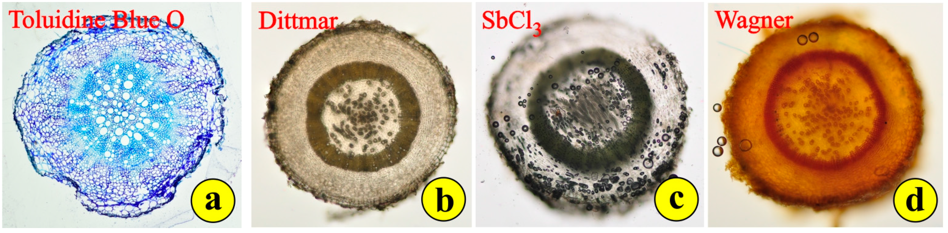 Life 14 00398 g005 Life 14 00398 g005