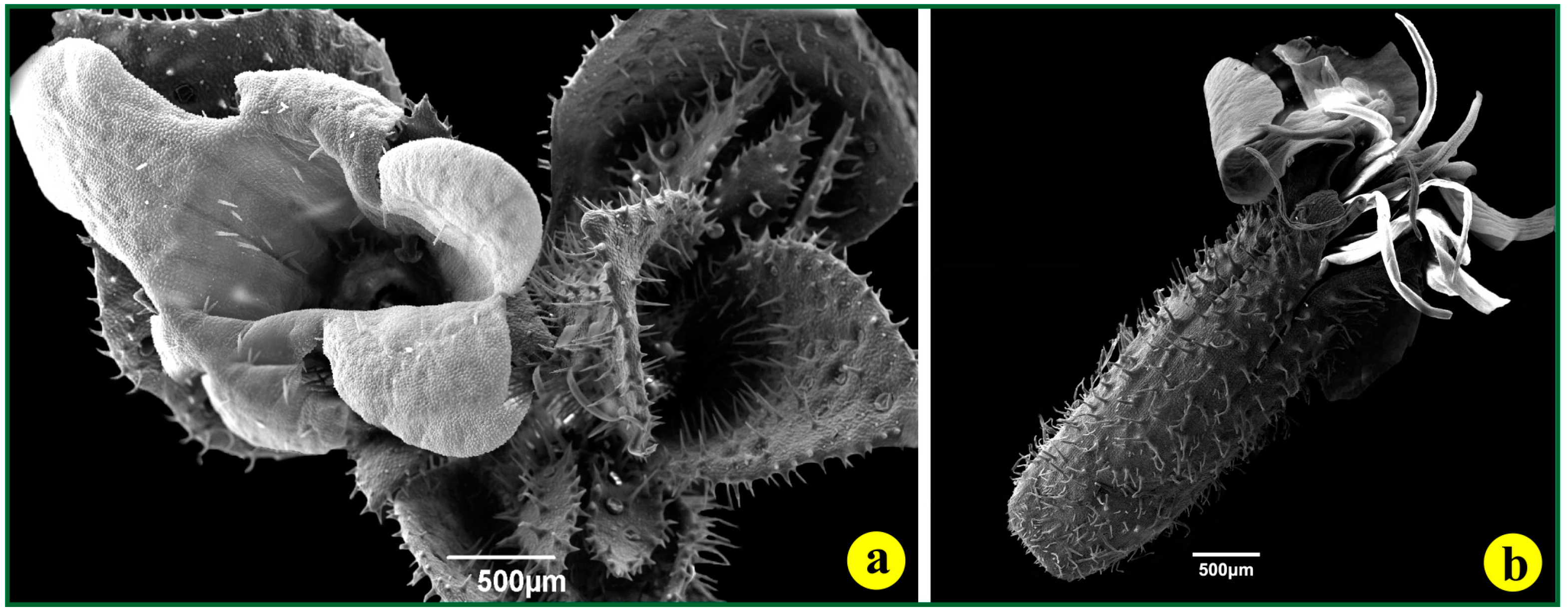 Life 14 00398 g007 Life 14 00398 g007