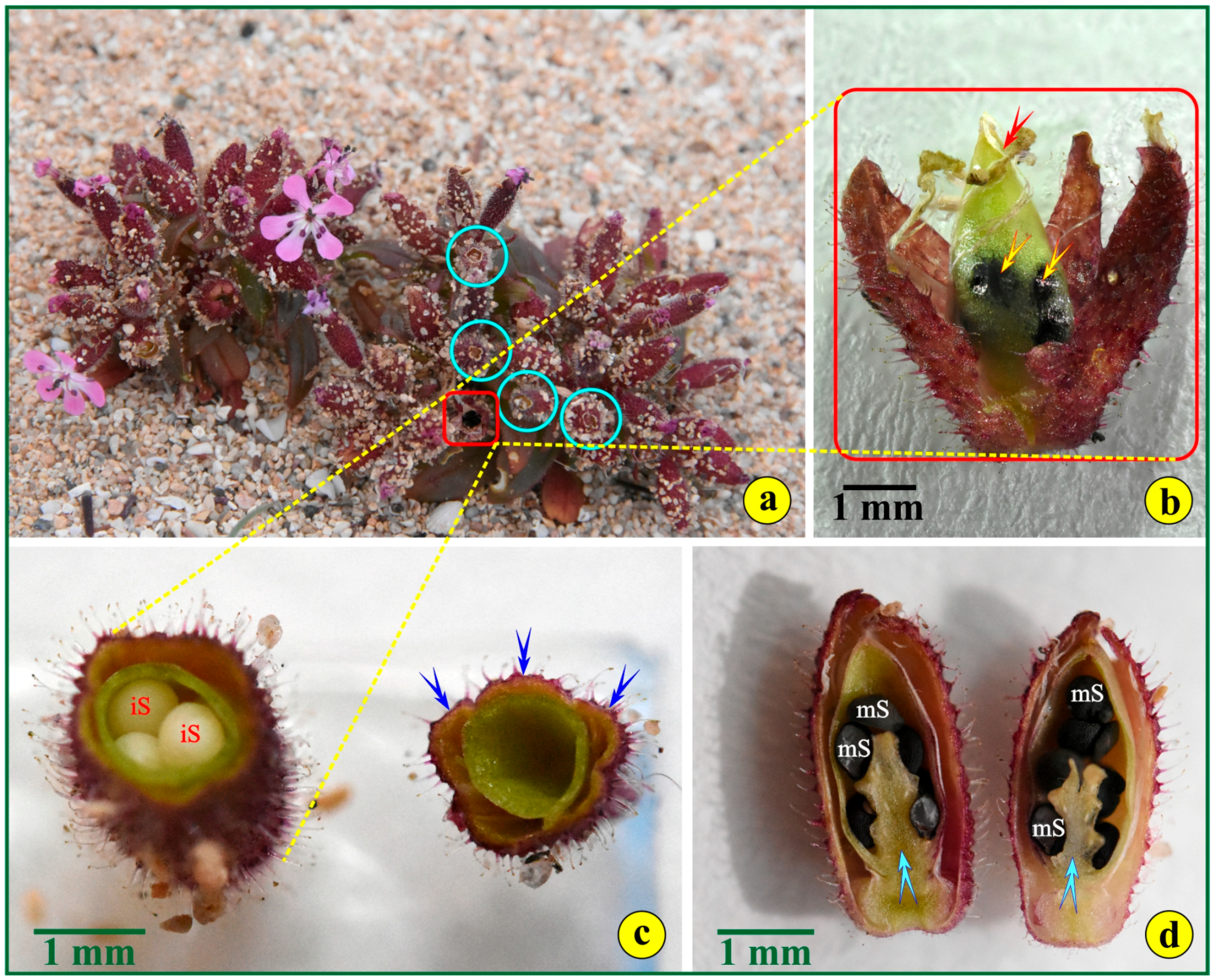 Life 14 00398 g008 Life 14 00398 g008