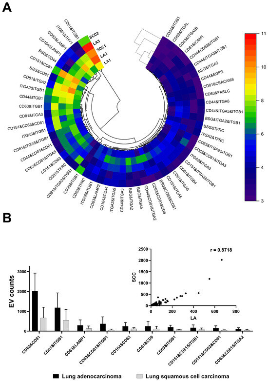 Extracellular Vesicles as Next-Generation Biomarkers in Lung Cancer ...
