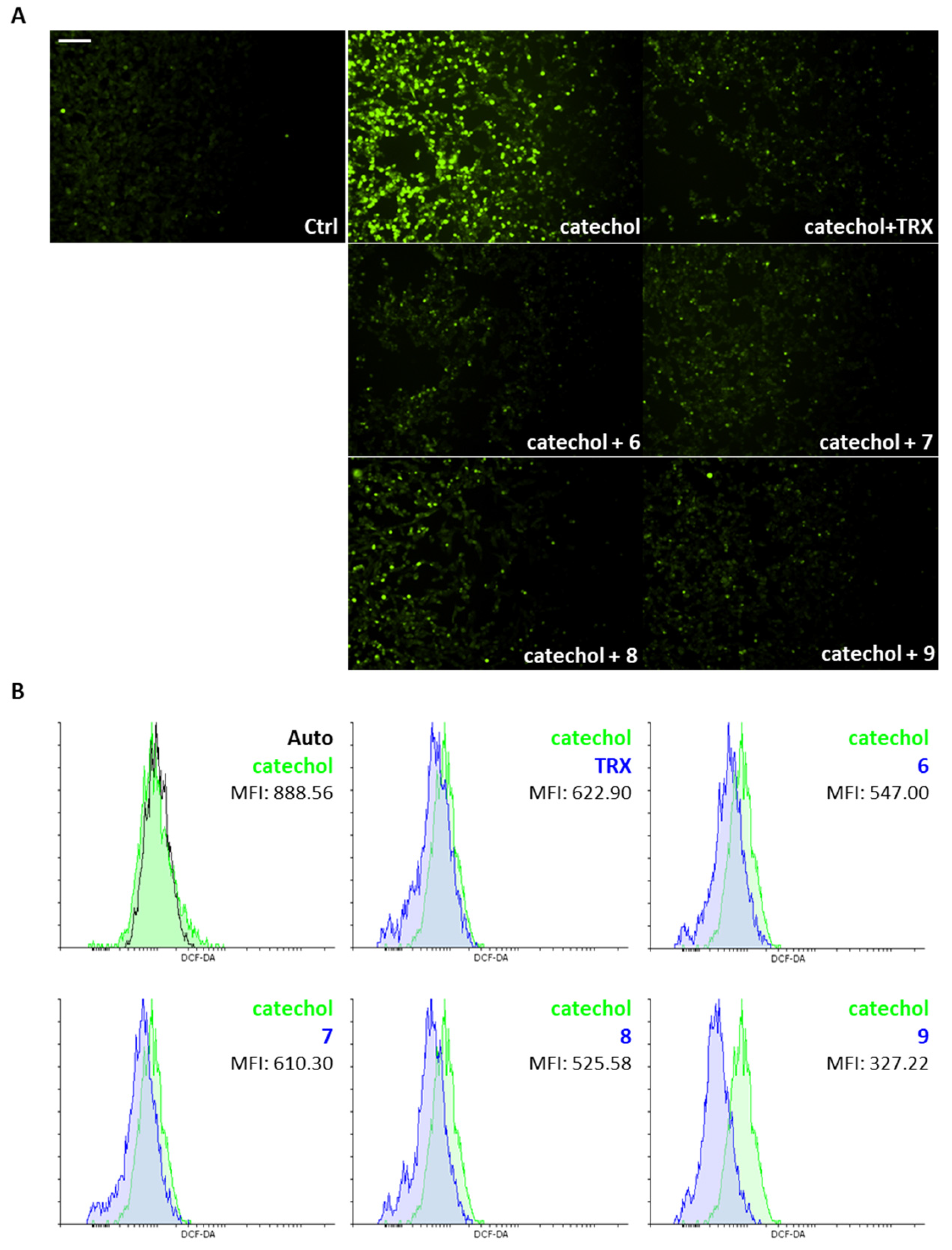 Life 14 00422 g005 Life 14 00422 g005