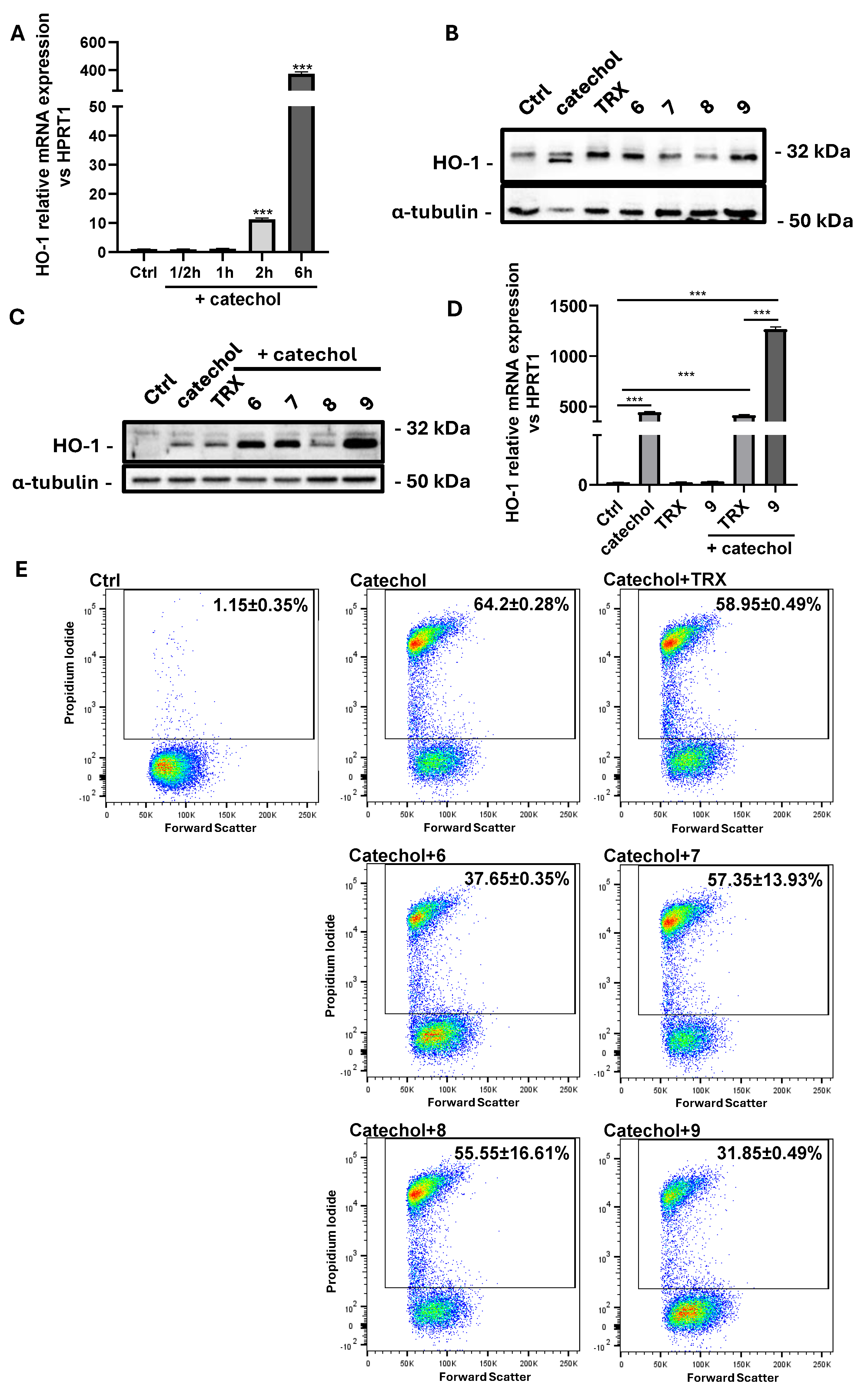 Life 14 00422 g007 Life 14 00422 g007
