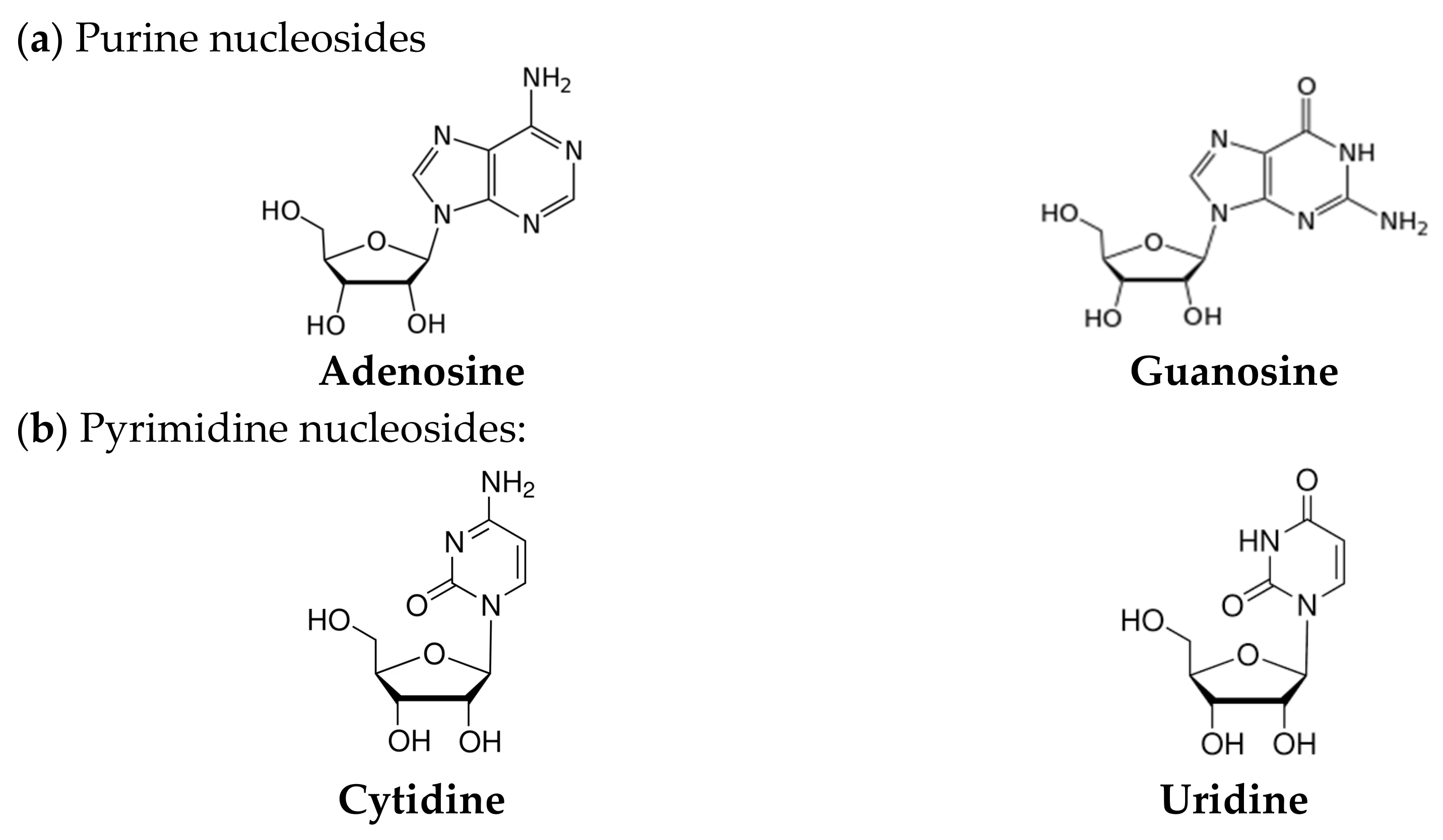 Life 14 00436 sch001