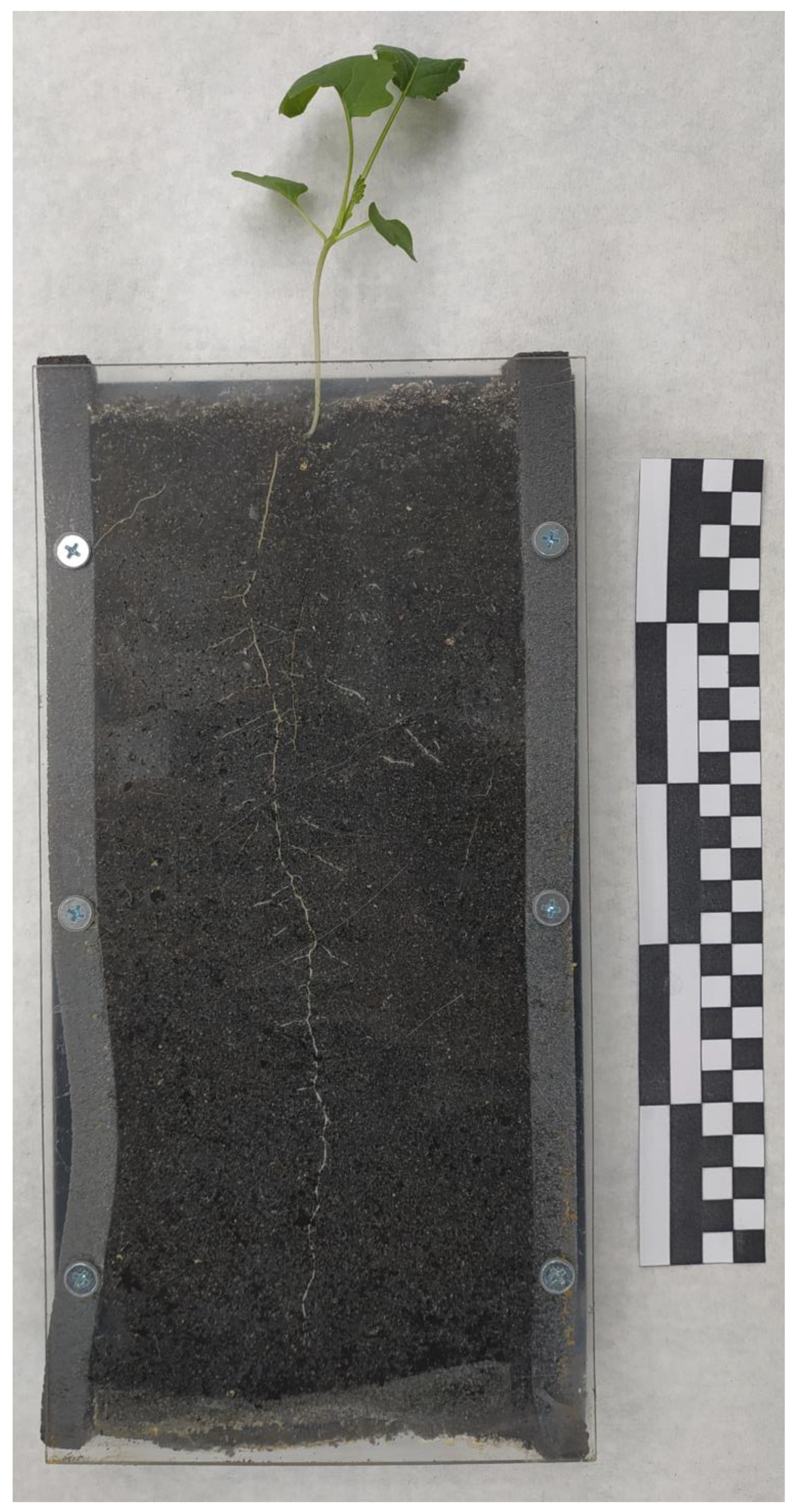 Life 14 00475 g001 Life 14 00475 g001