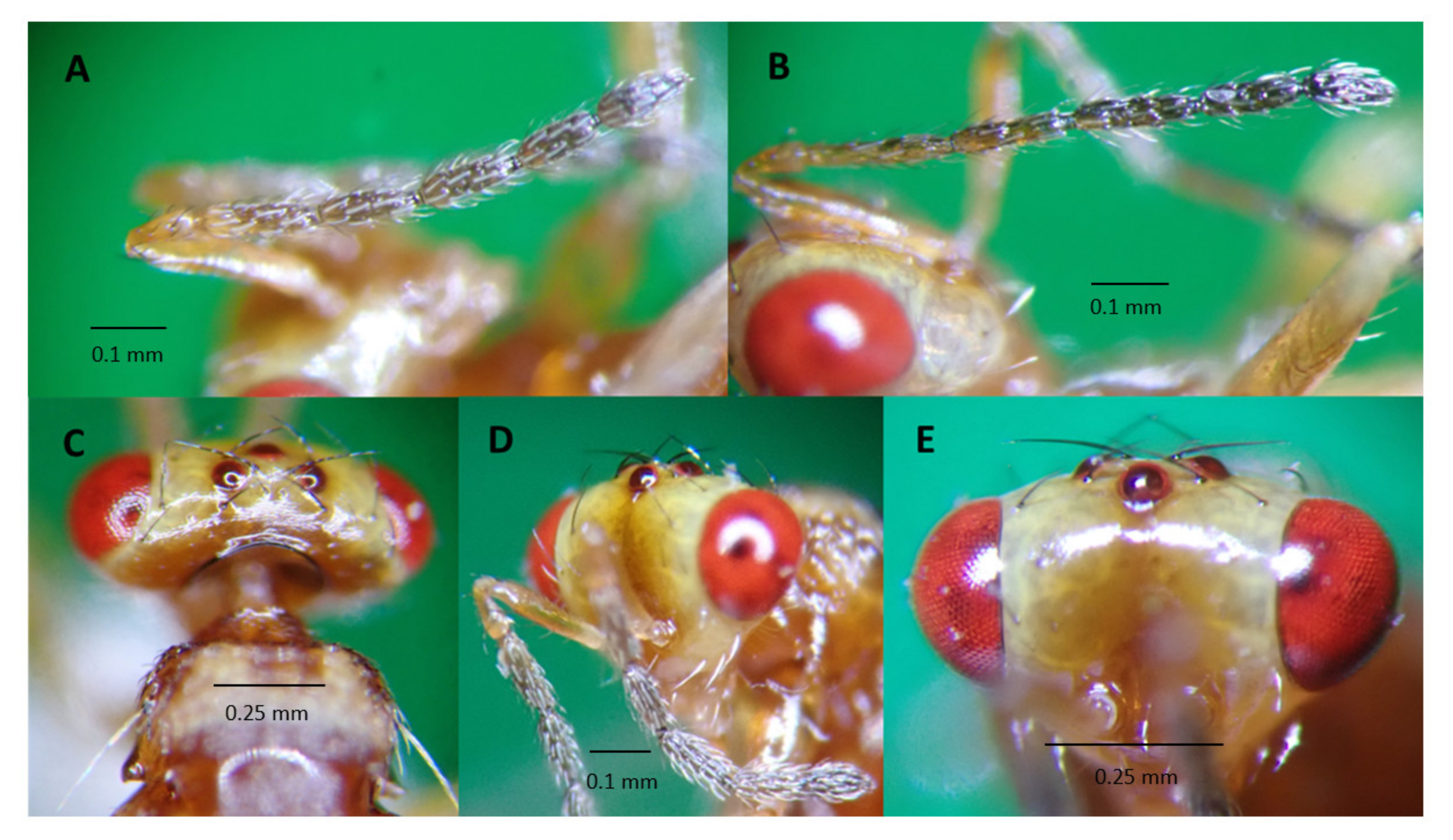 Life 14 00509 g003 Life 14 00509 g003