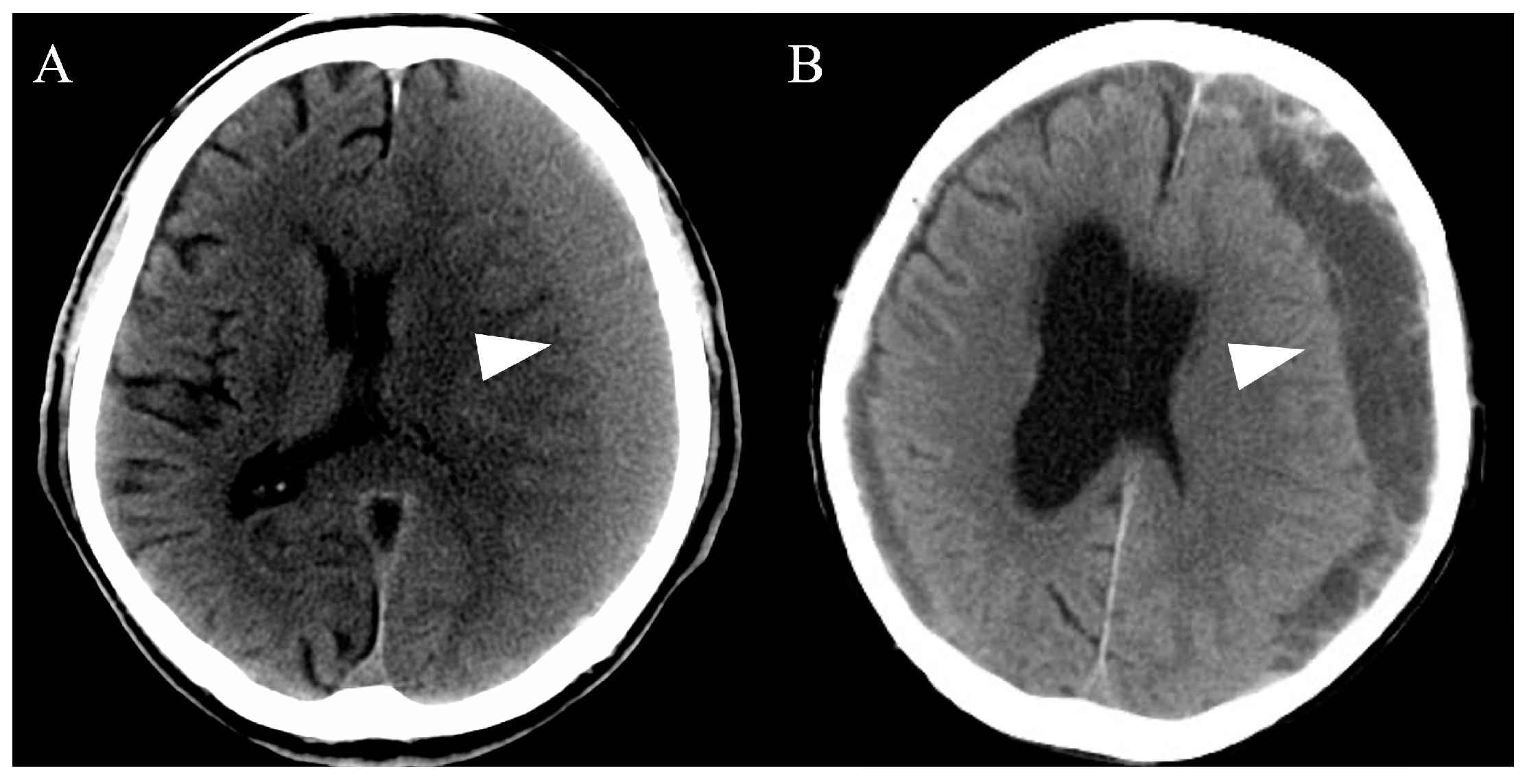 Life 14 00518 g001 Life 14 00518 g001