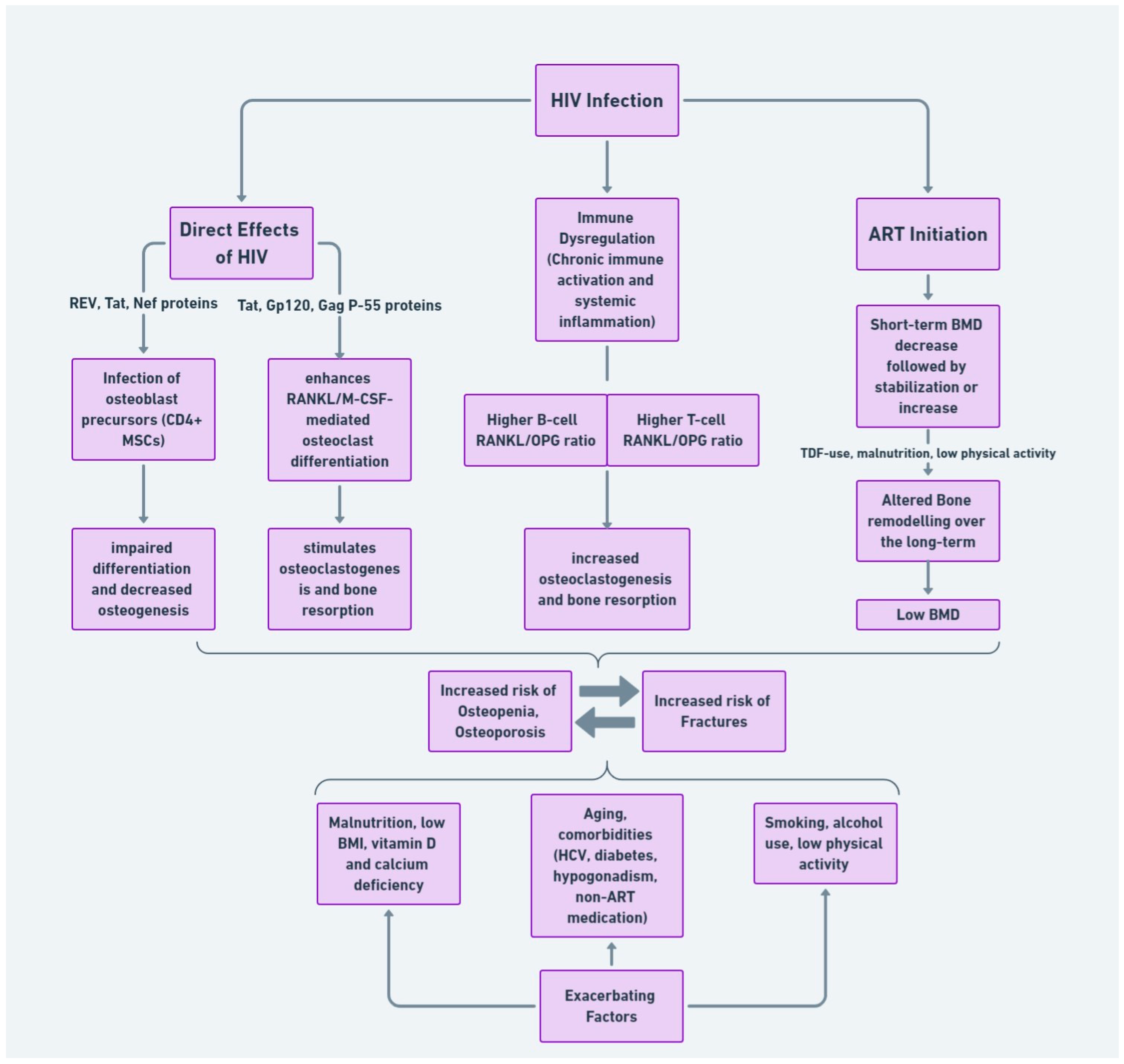 Life 14 00522 g001 Life 14 00522 g001