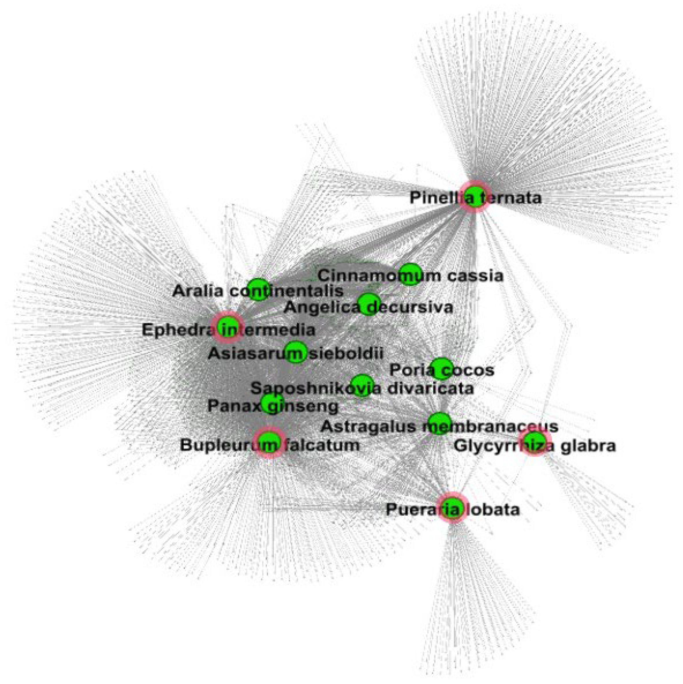 Life 14 00553 g002 Life 14 00553 g002