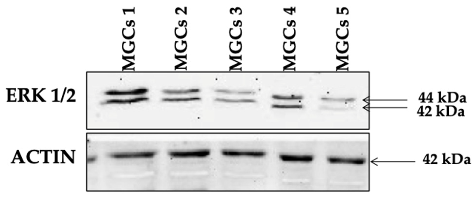 Life 14 00554 g001 Life 14 00554 g001