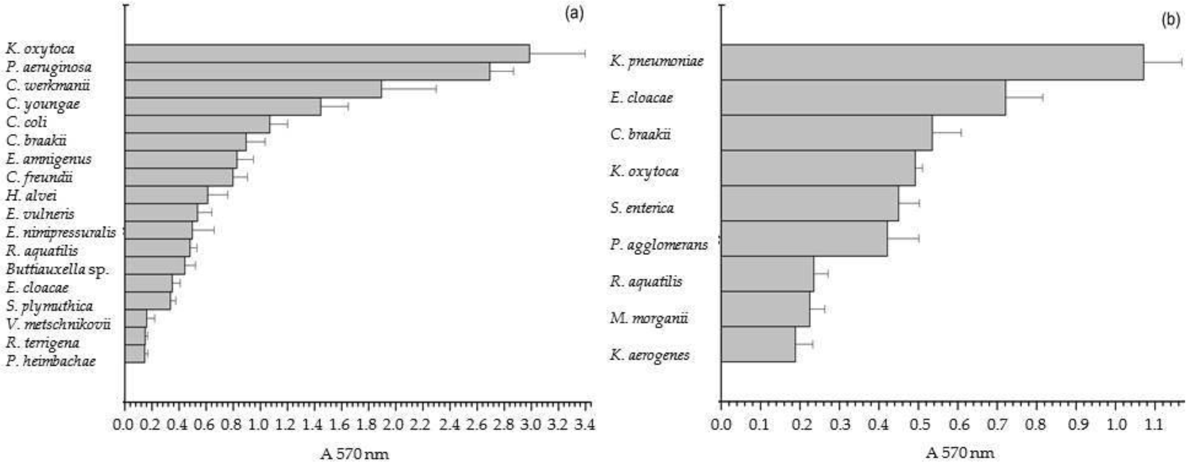 Life 14 00566 g002 Life 14 00566 g002