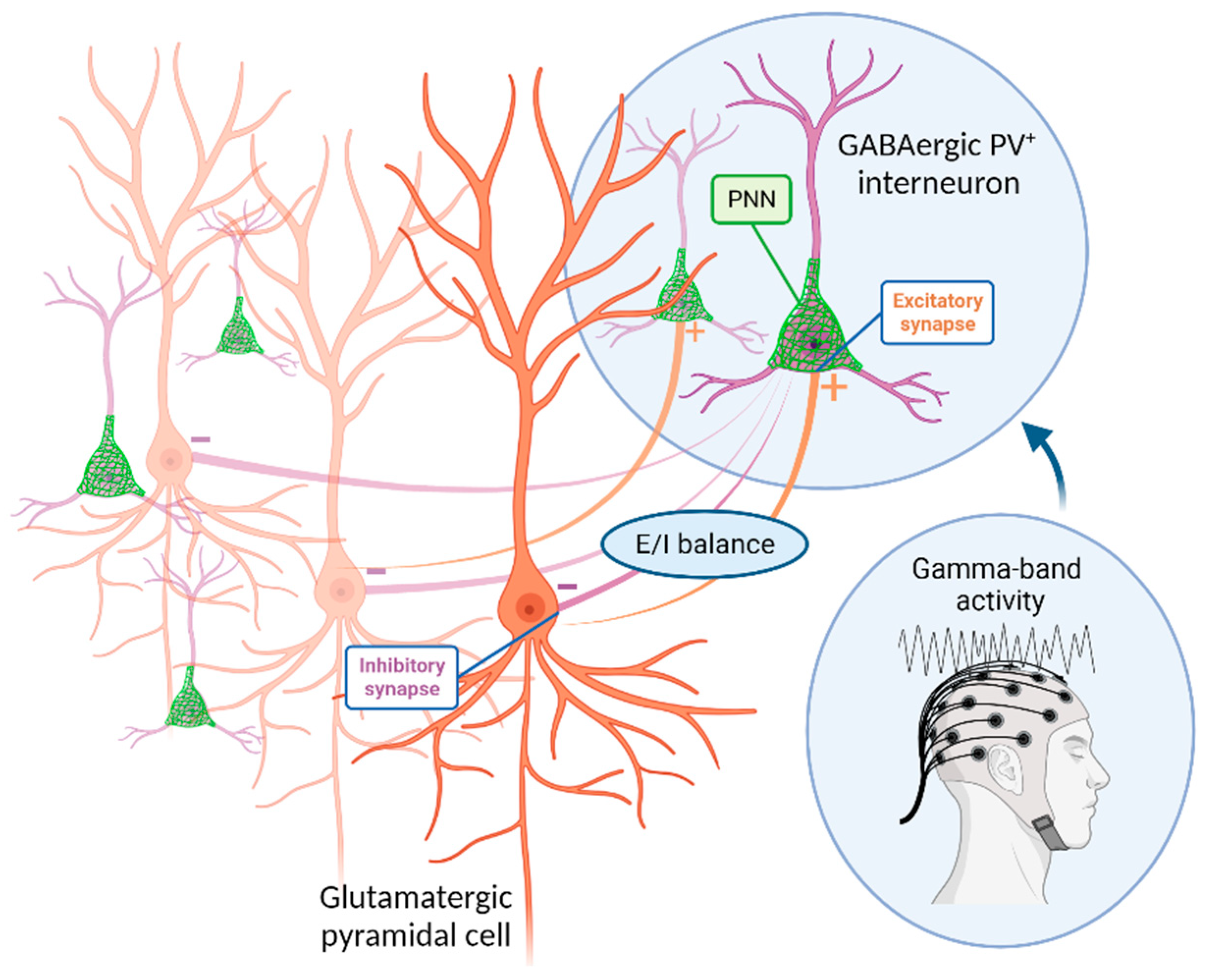 Life 14 00578 g001 Life 14 00578 g001