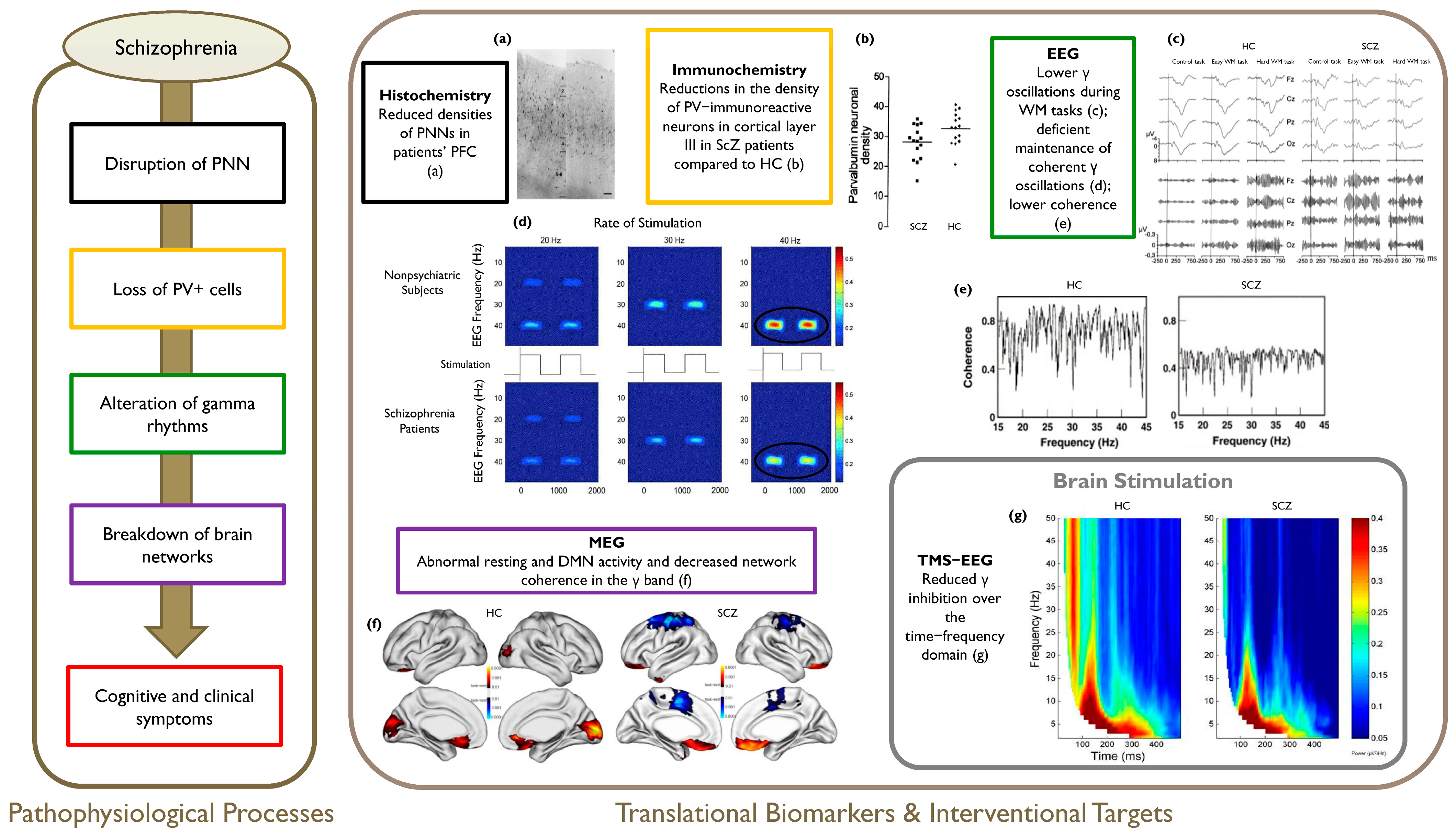 Life 14 00578 g002 Life 14 00578 g002