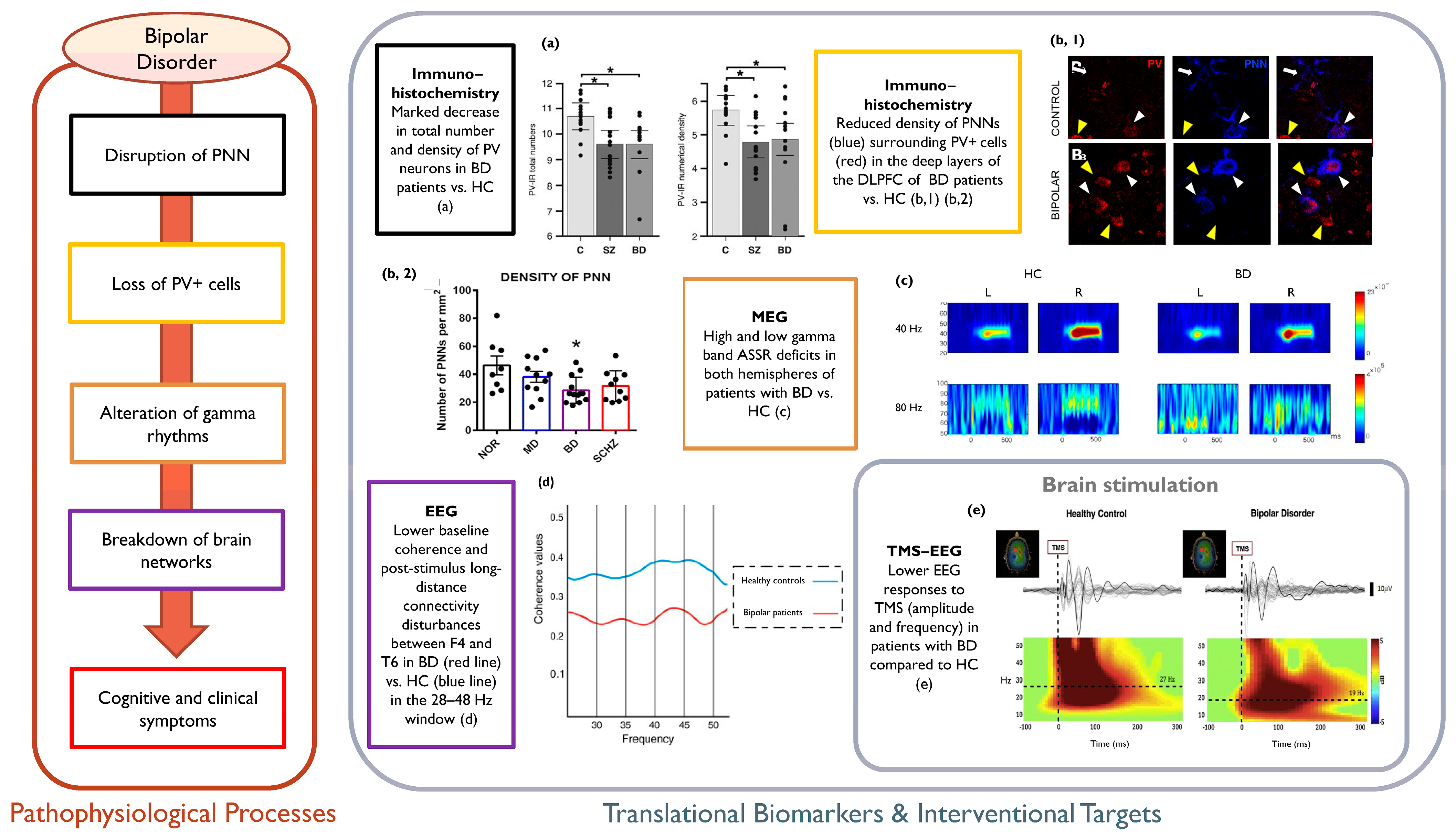Life 14 00578 g003 Life 14 00578 g003