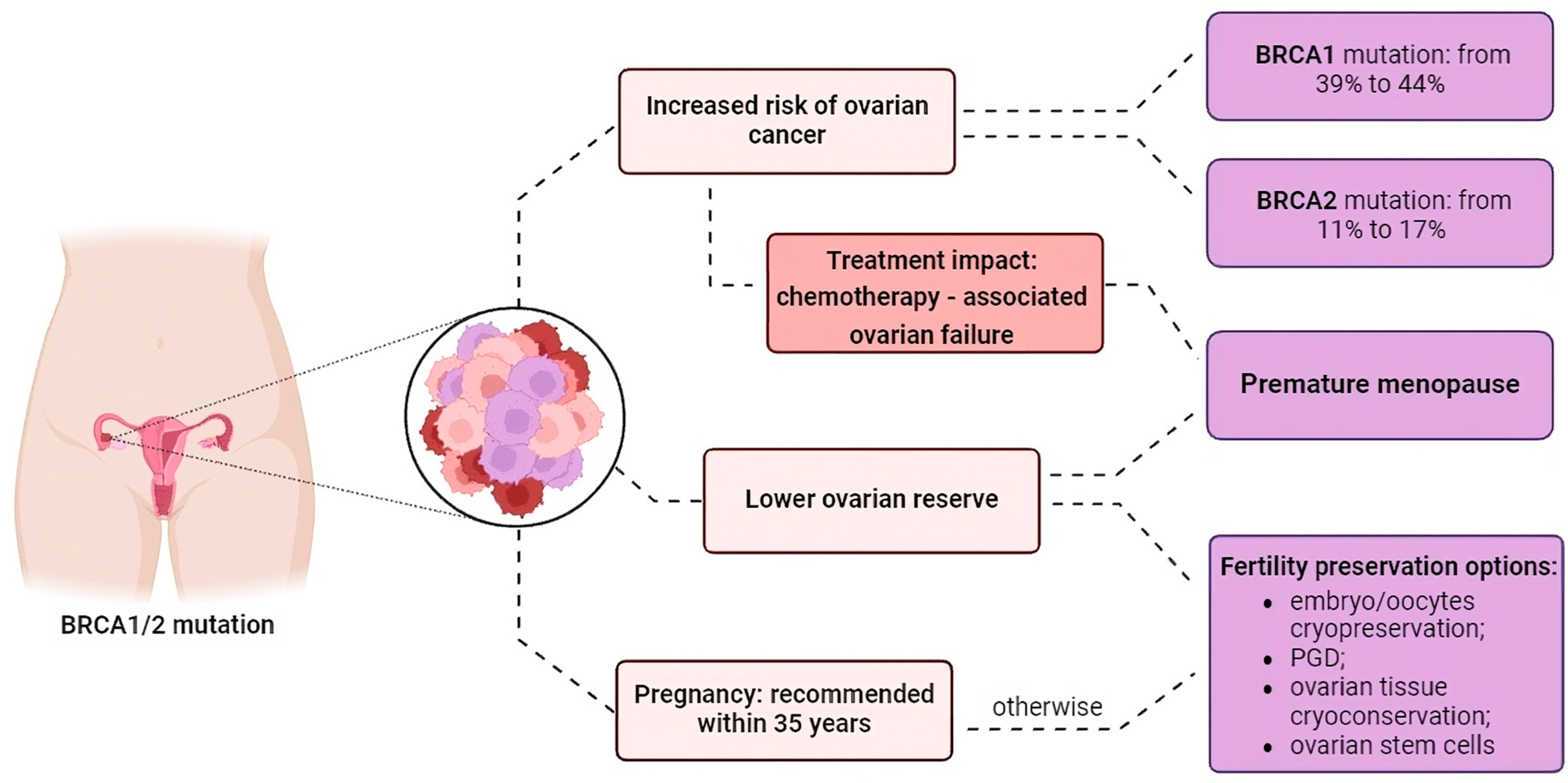 Fertility Preservation in BRCA1/2 Germline Mutation Carriers: An 