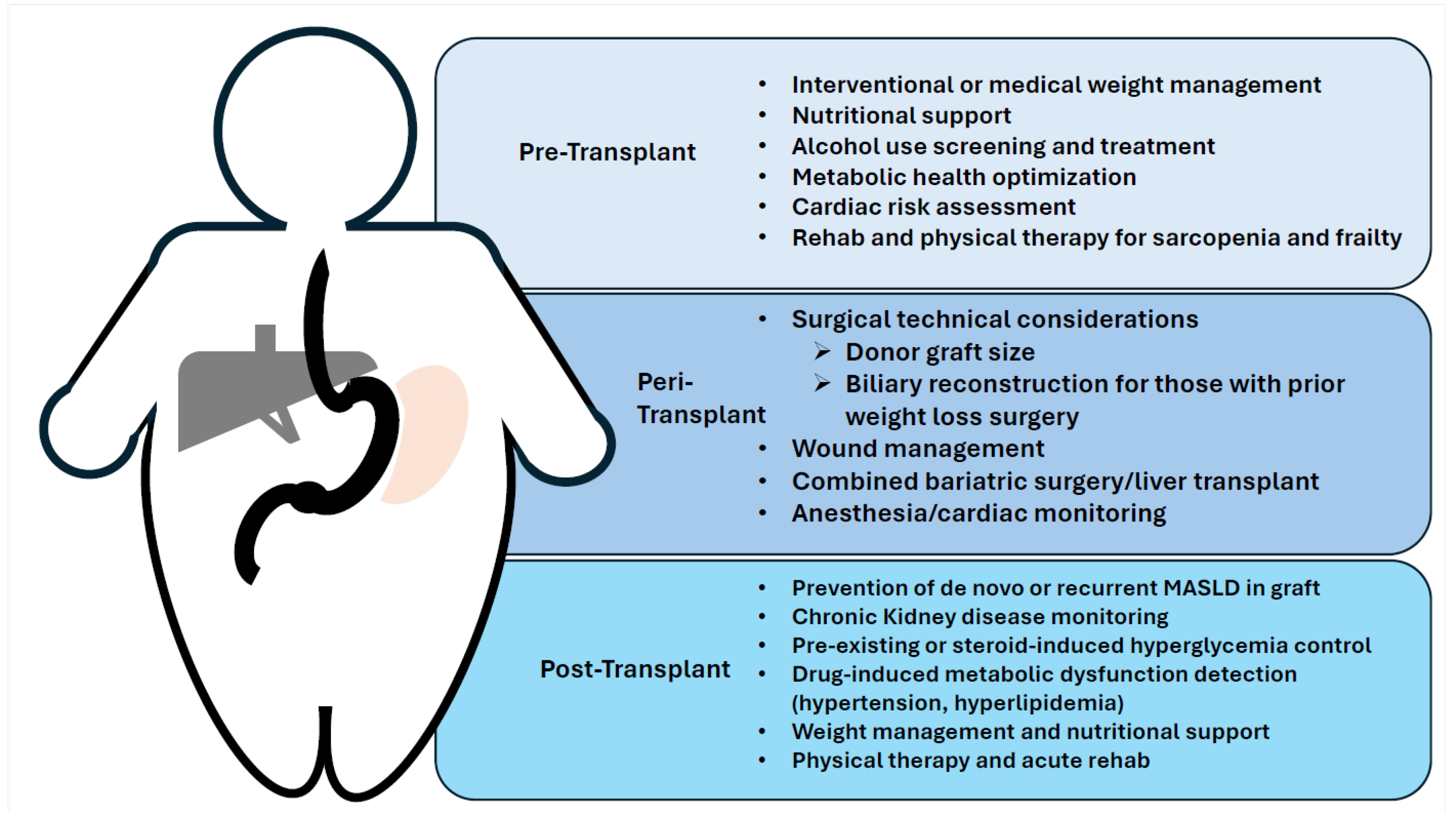 The Impact of Metabolic Health and Obesity on Liver Transplant 