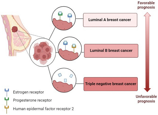 Epigenetics, Microbiota, and Breast Cancer: A Systematic Review