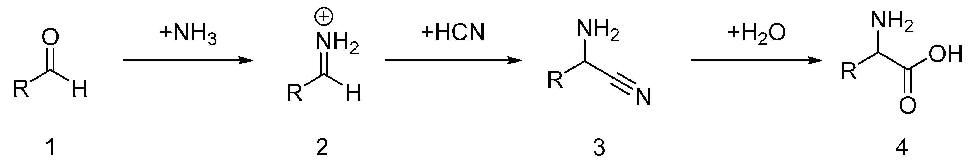 Life 14 00719 sch001