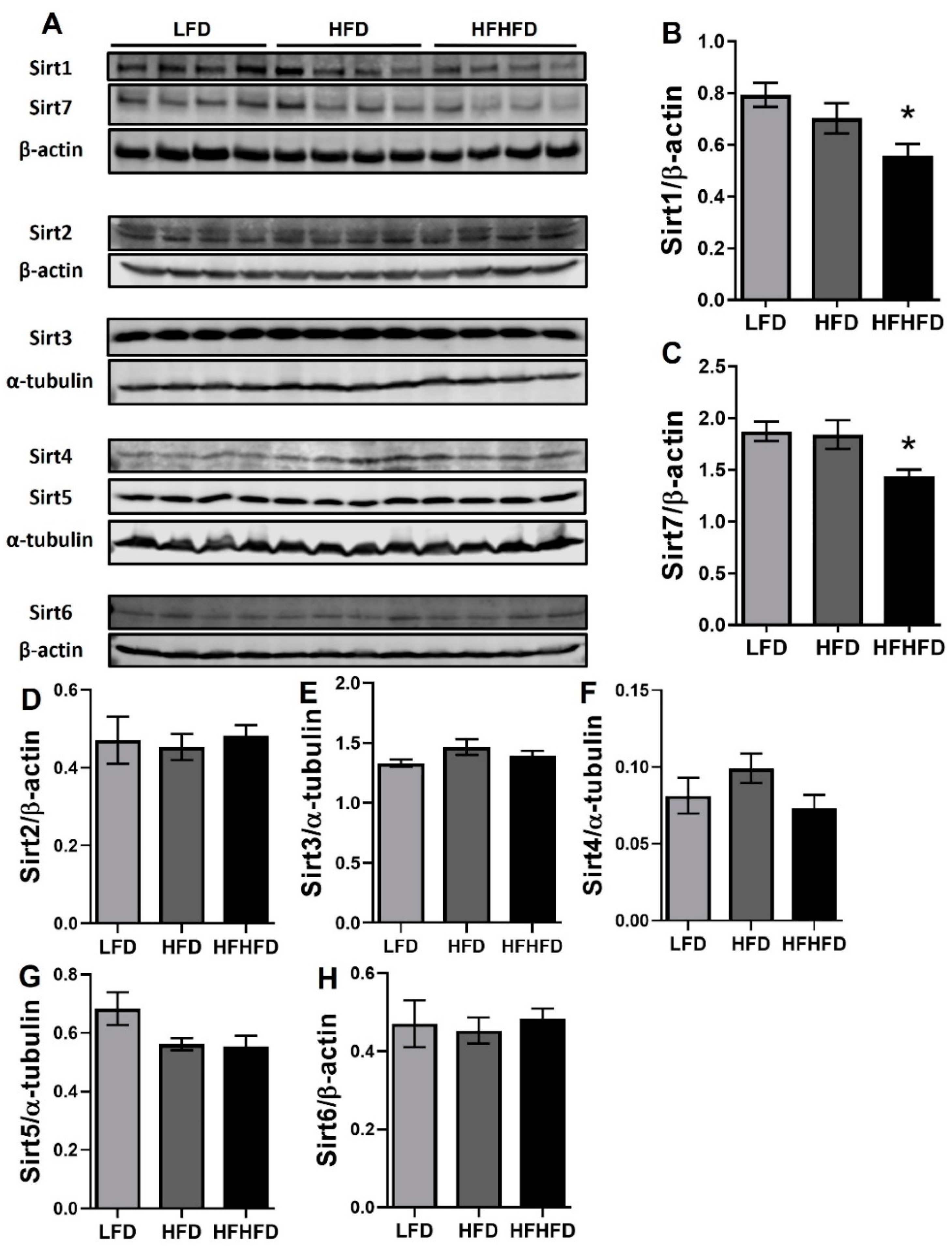Life 14 00729 g002 Life 14 00729 g002