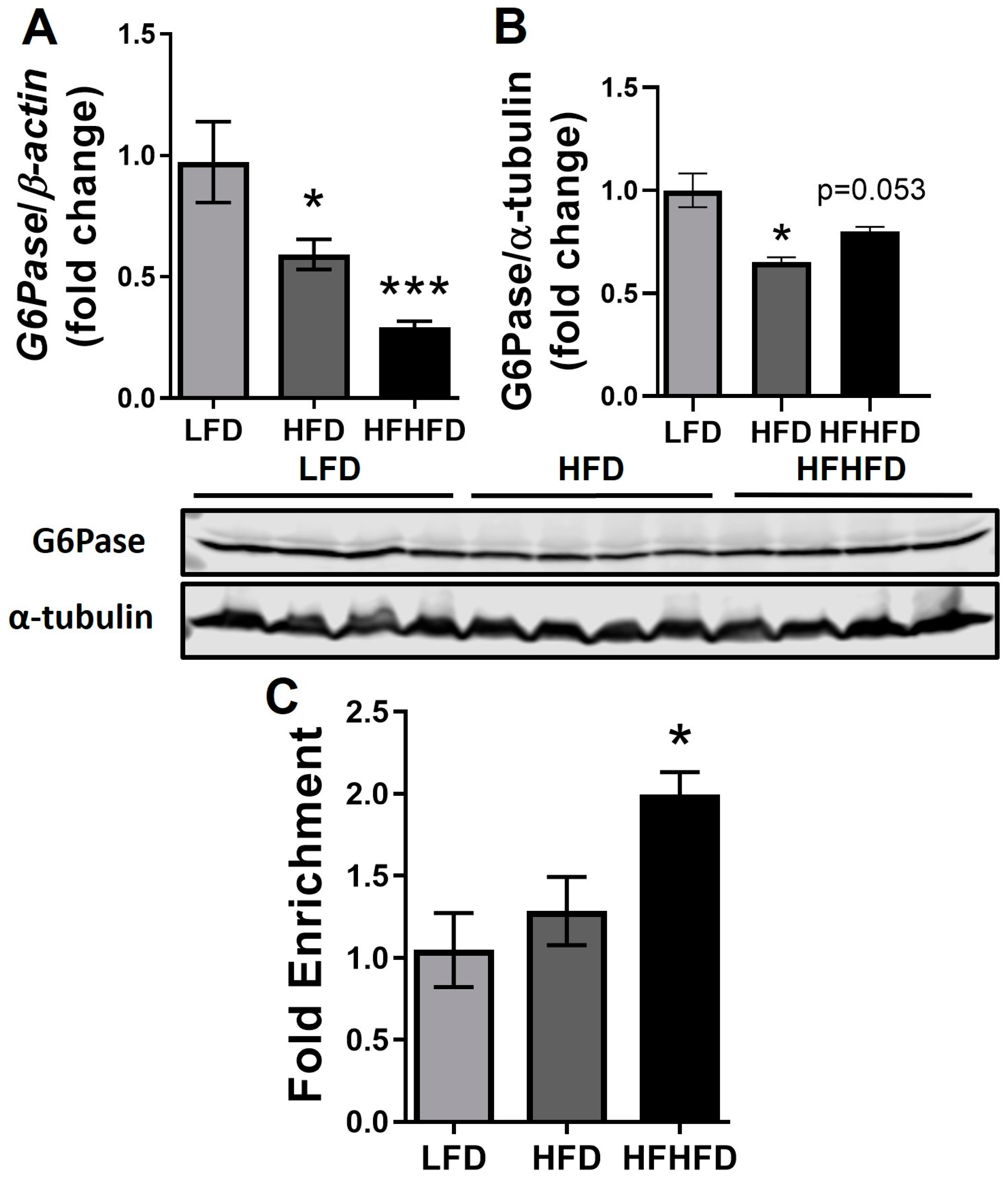 Life 14 00729 g003 Life 14 00729 g003