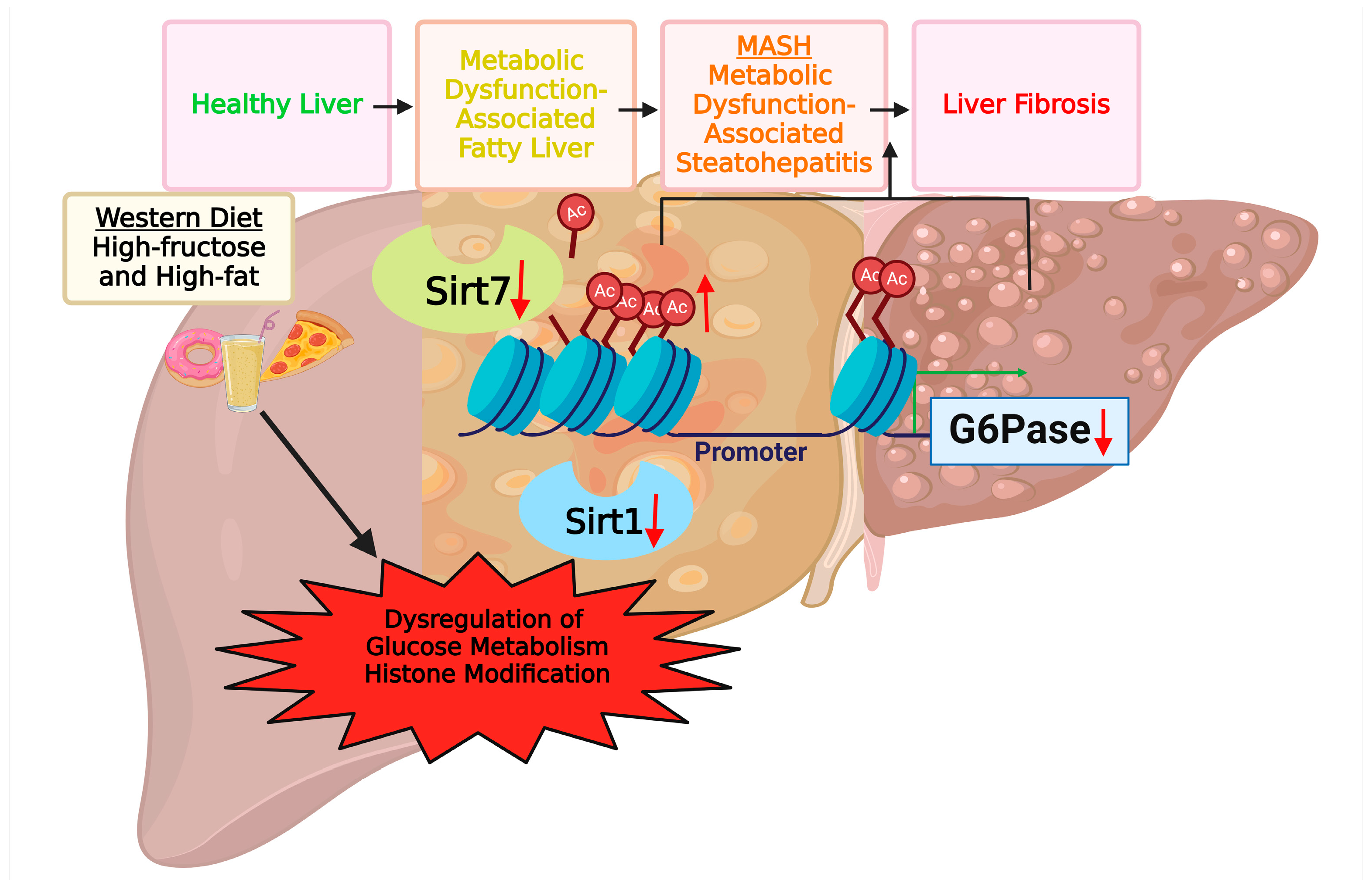 Life 14 00729 g004 Life 14 00729 g004