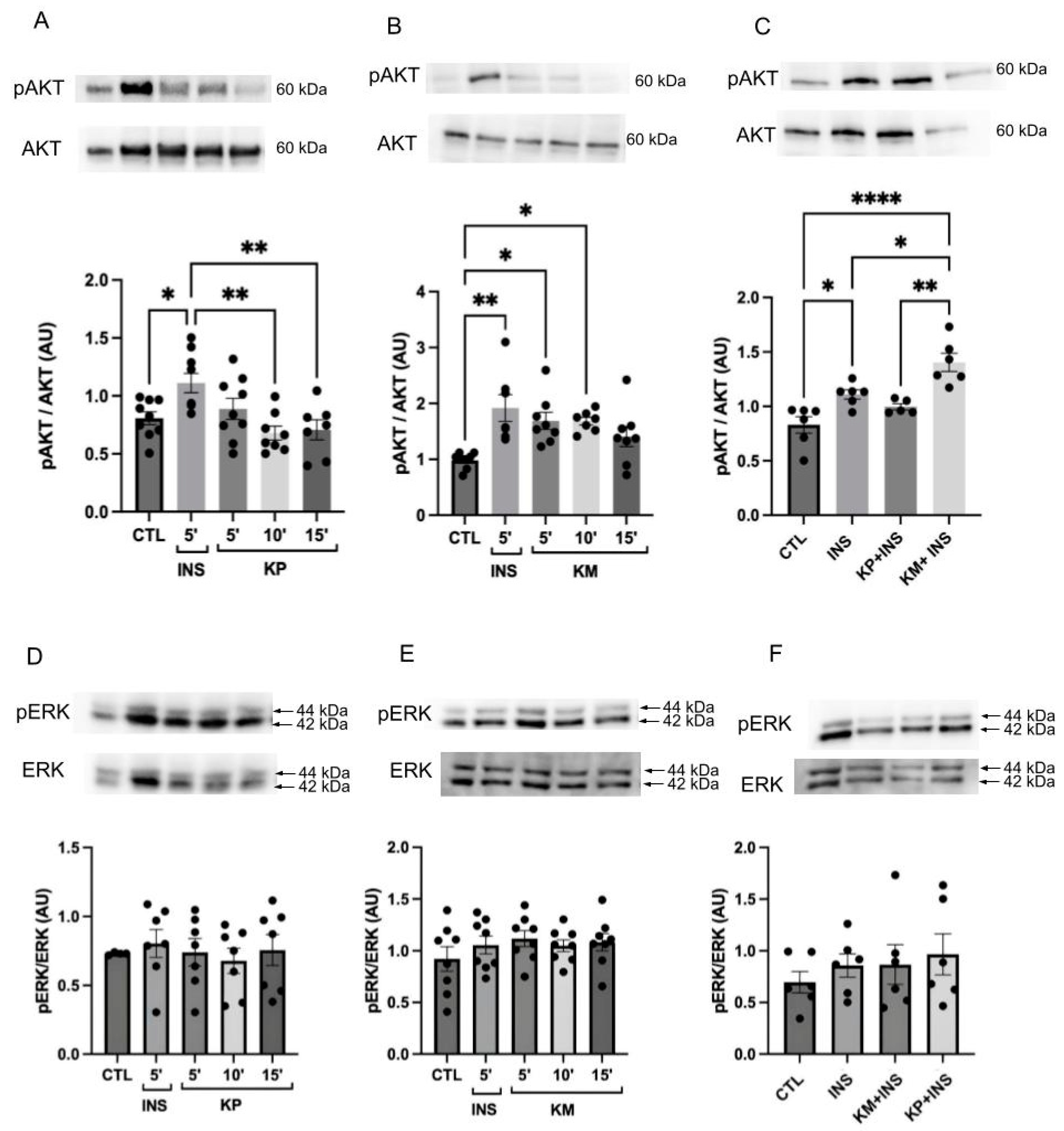 Life 14 00764 g007 Life 14 00764 g007