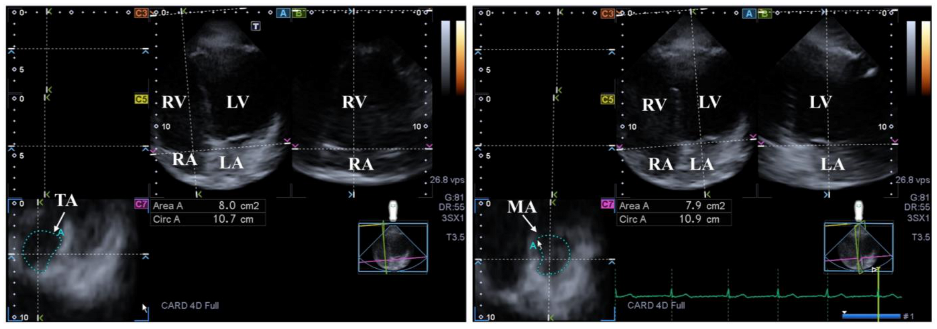 Life 14 00843 g003 Life 14 00843 g003