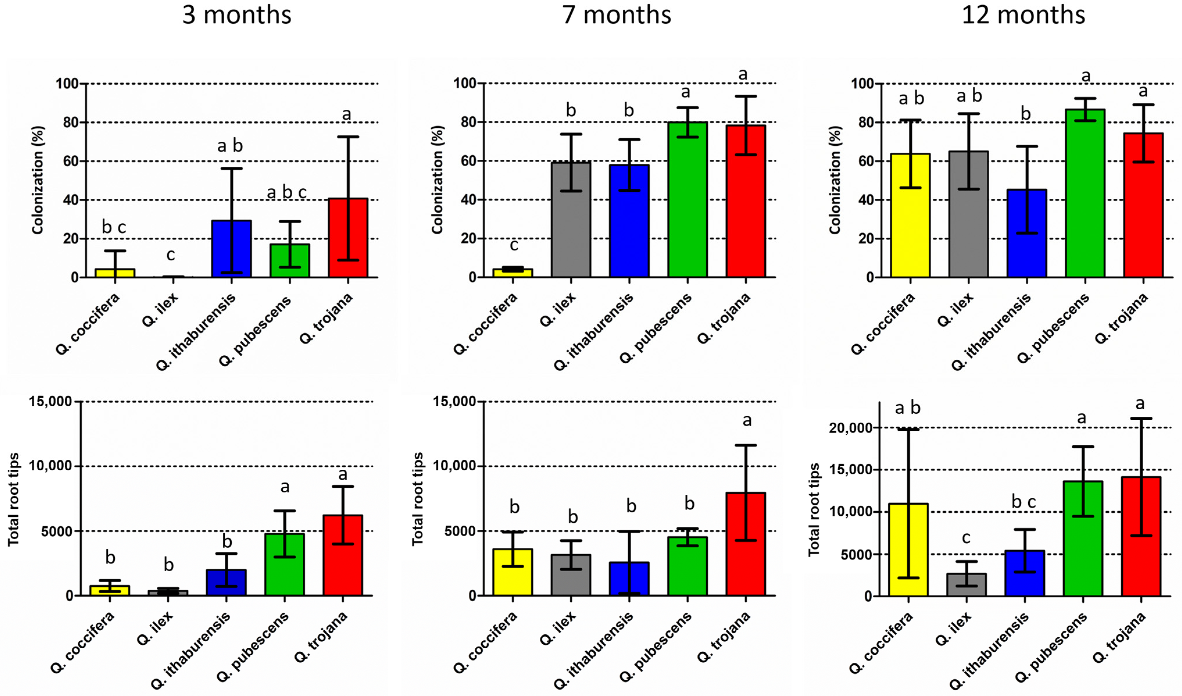 Life 14 00852 g002 Life 14 00852 g002