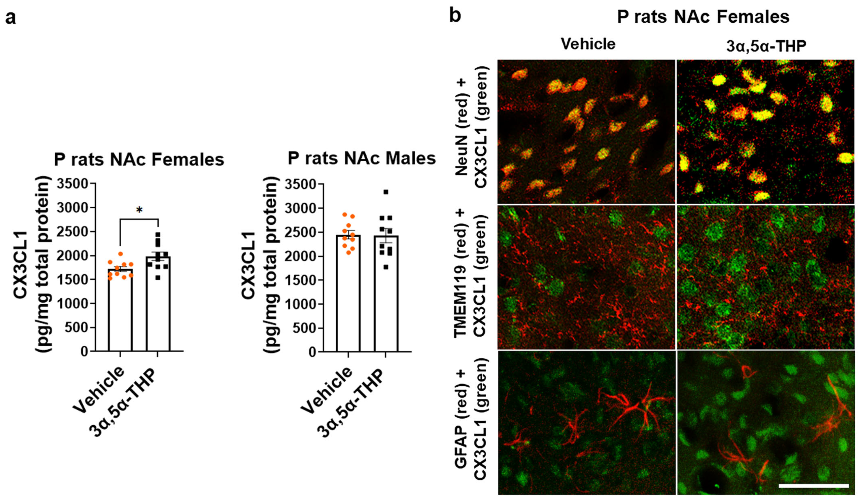 Life 14 00860 g001 Life 14 00860 g001