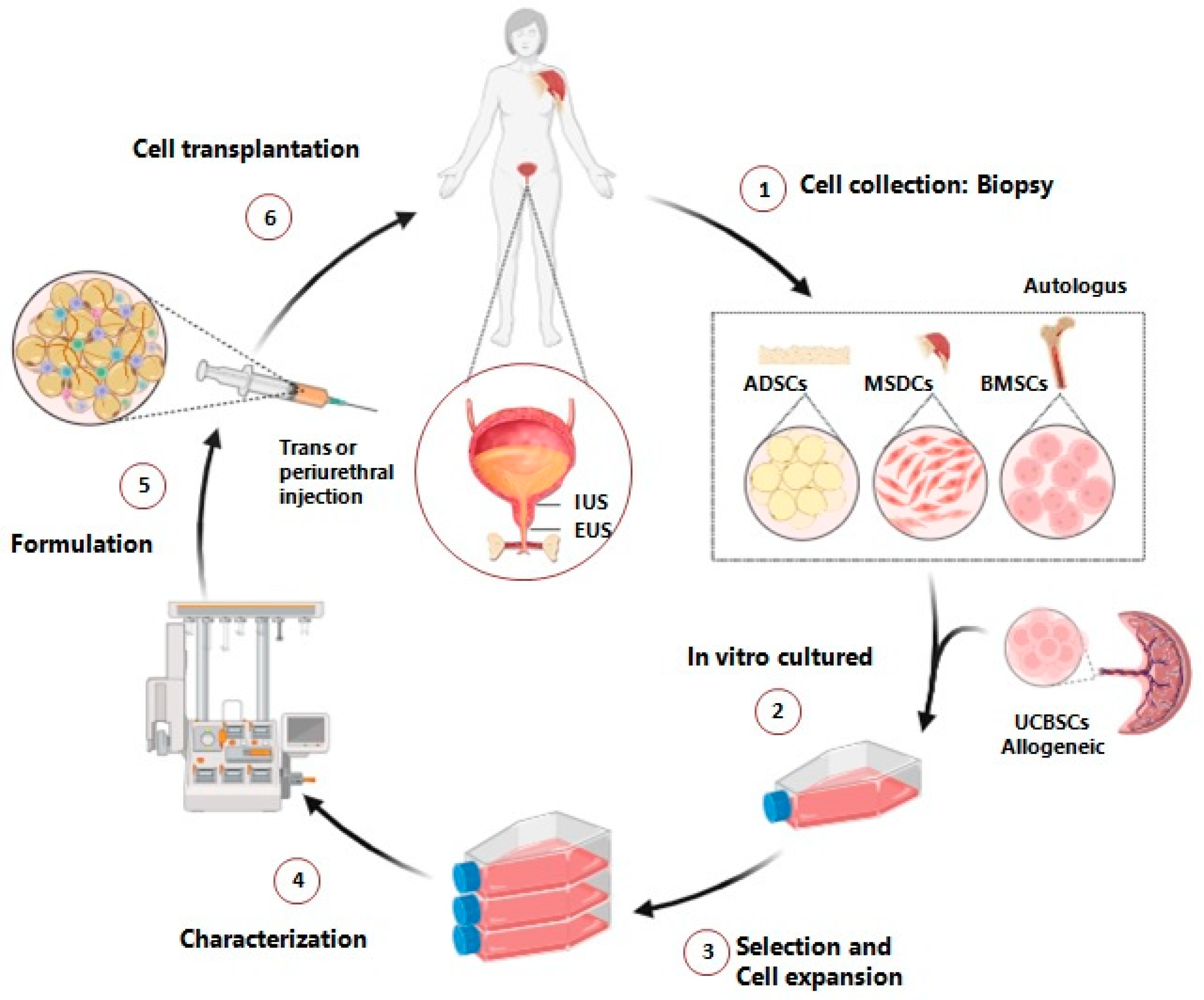 Life 14 00861 g001 Life 14 00861 g001