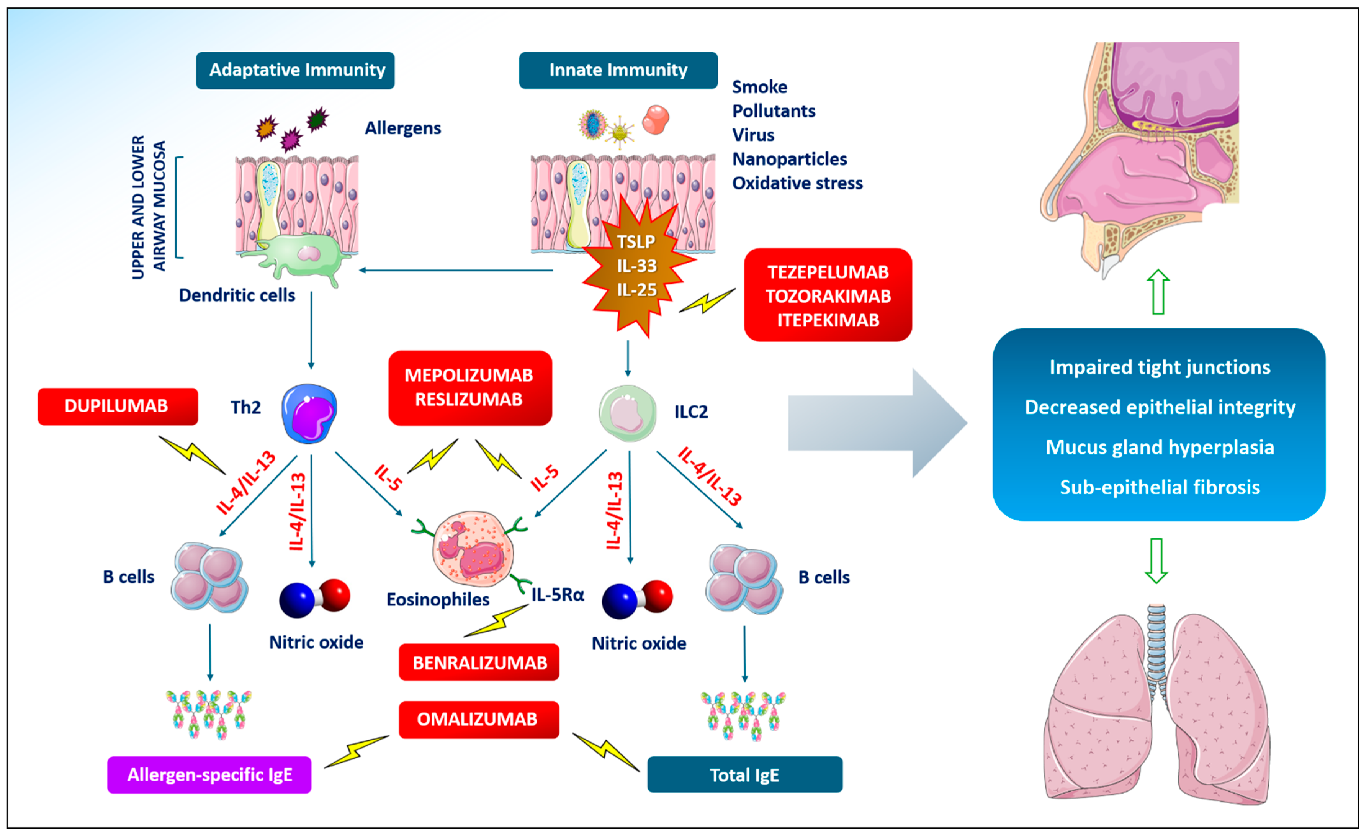 Life 14 00899 g001 Life 14 00899 g001