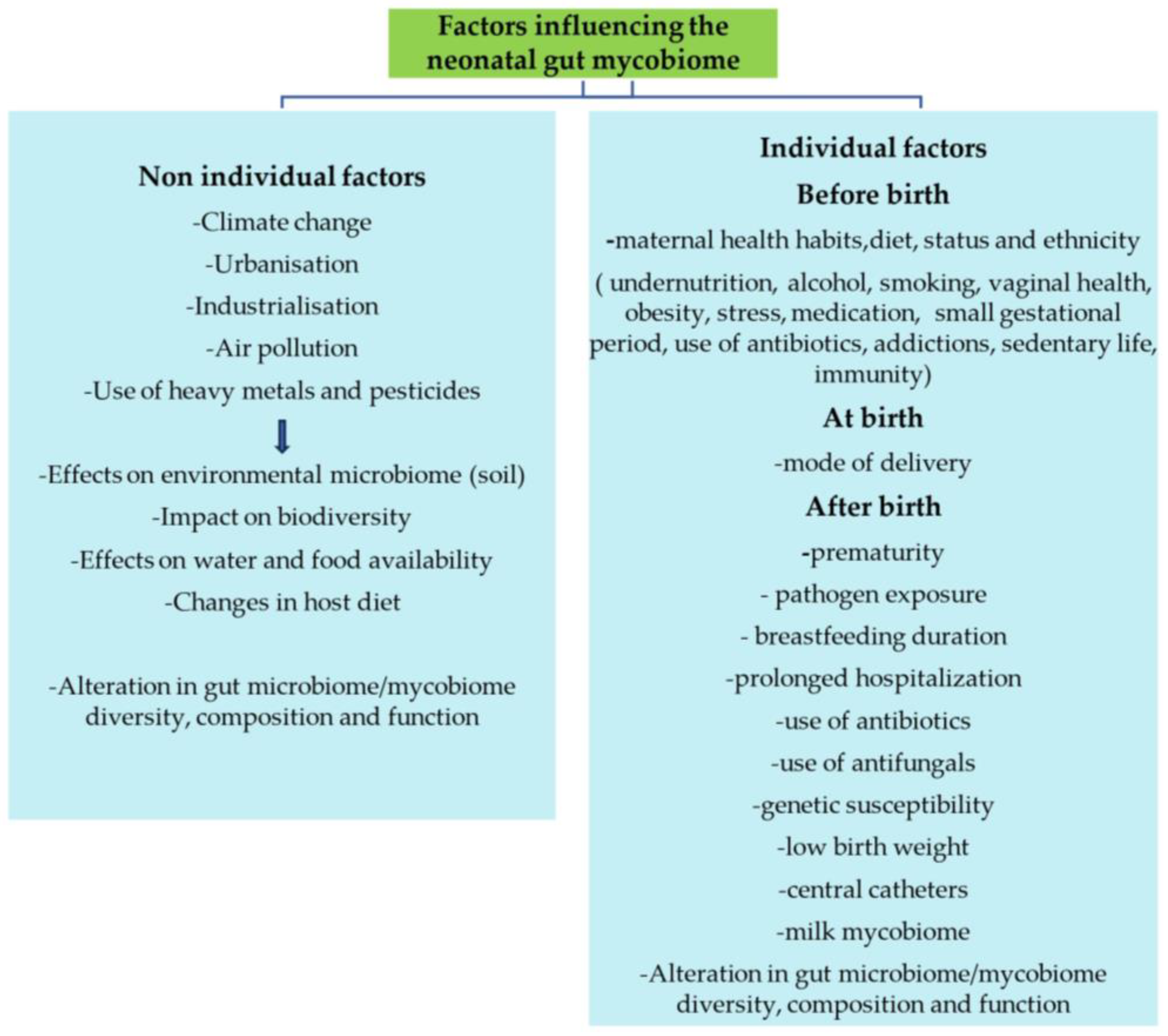 Life 14 00902 g002 Life 14 00902 g002