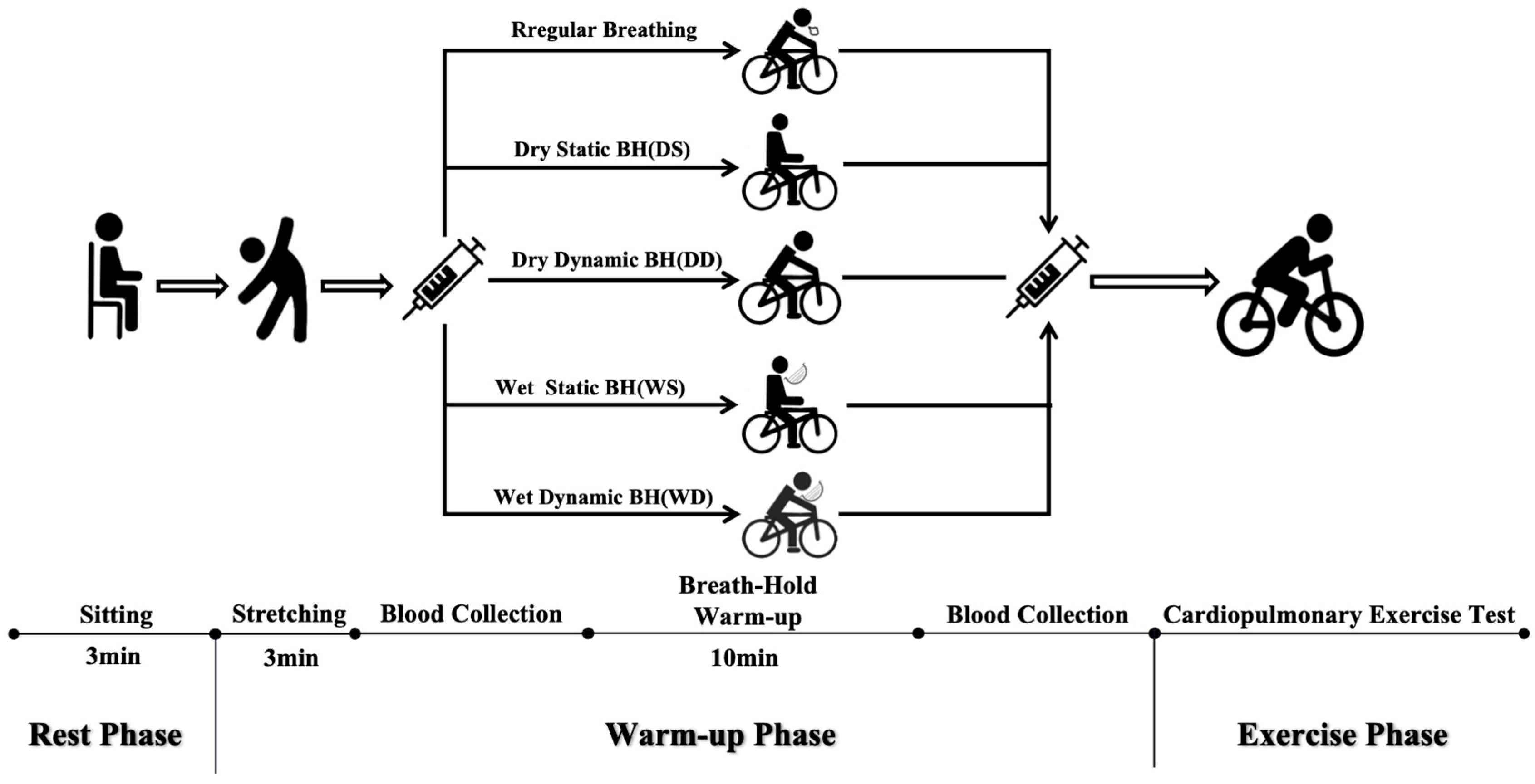 Life 14 00917 g001 Life 14 00917 g001