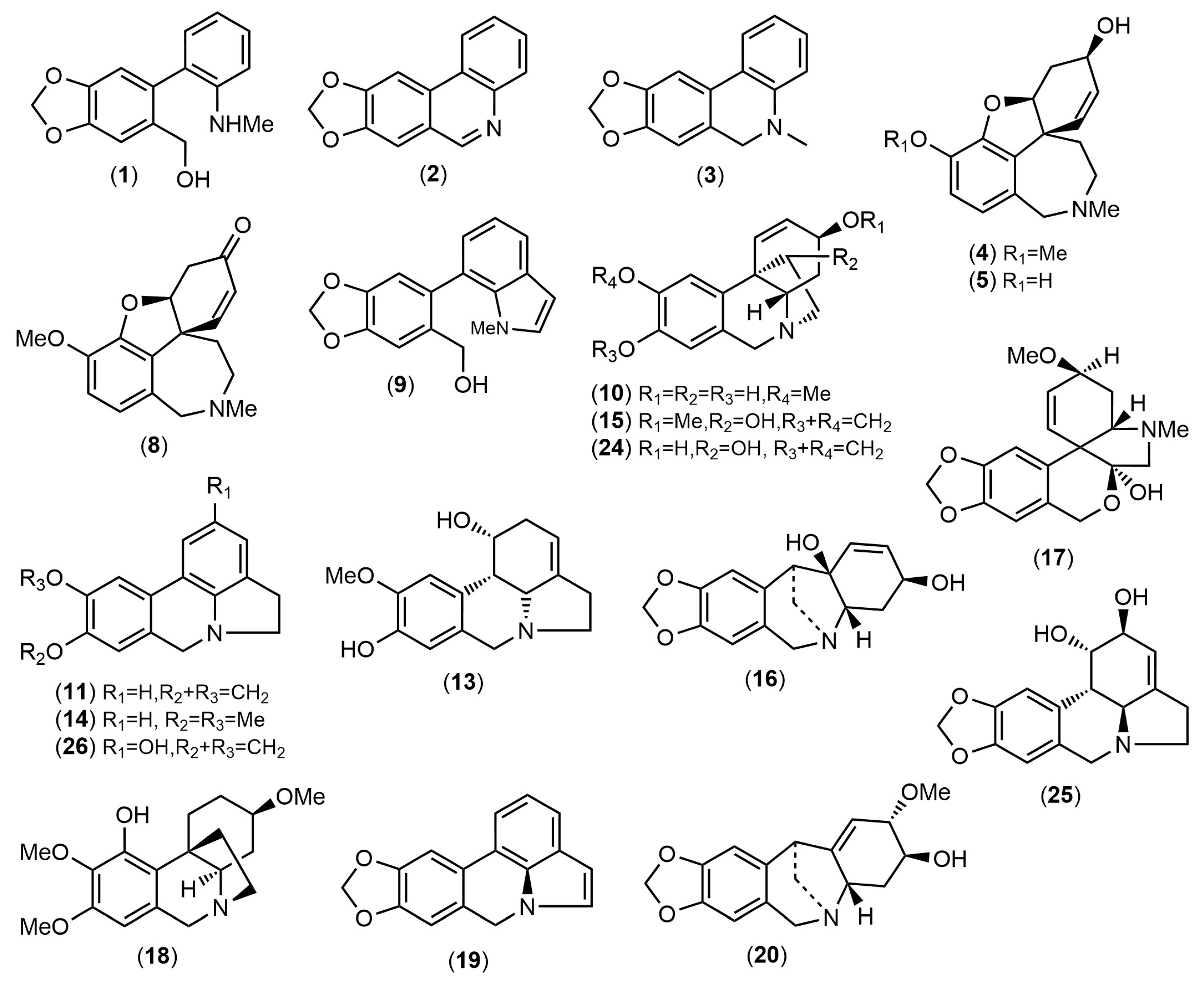 Life 14 00924 g003 Life 14 00924 g003
