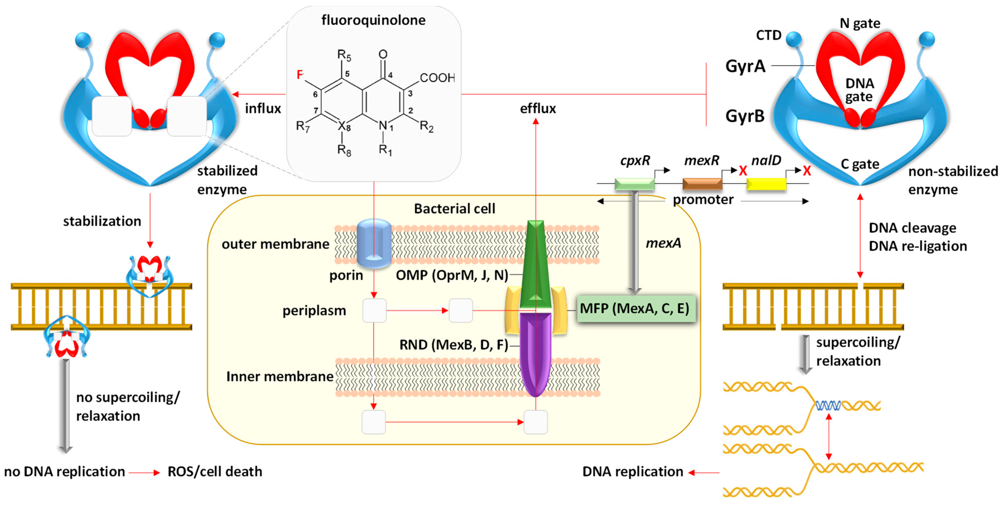 Life 14 00928 g008 Life 14 00928 g008