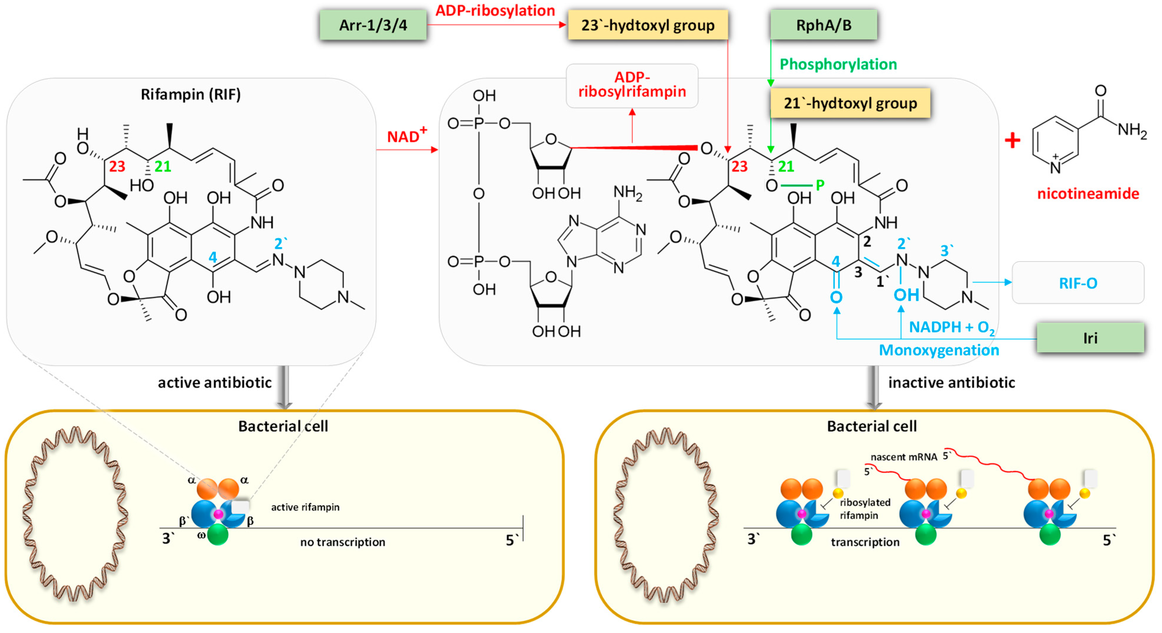 Life 14 00928 g010 Life 14 00928 g010