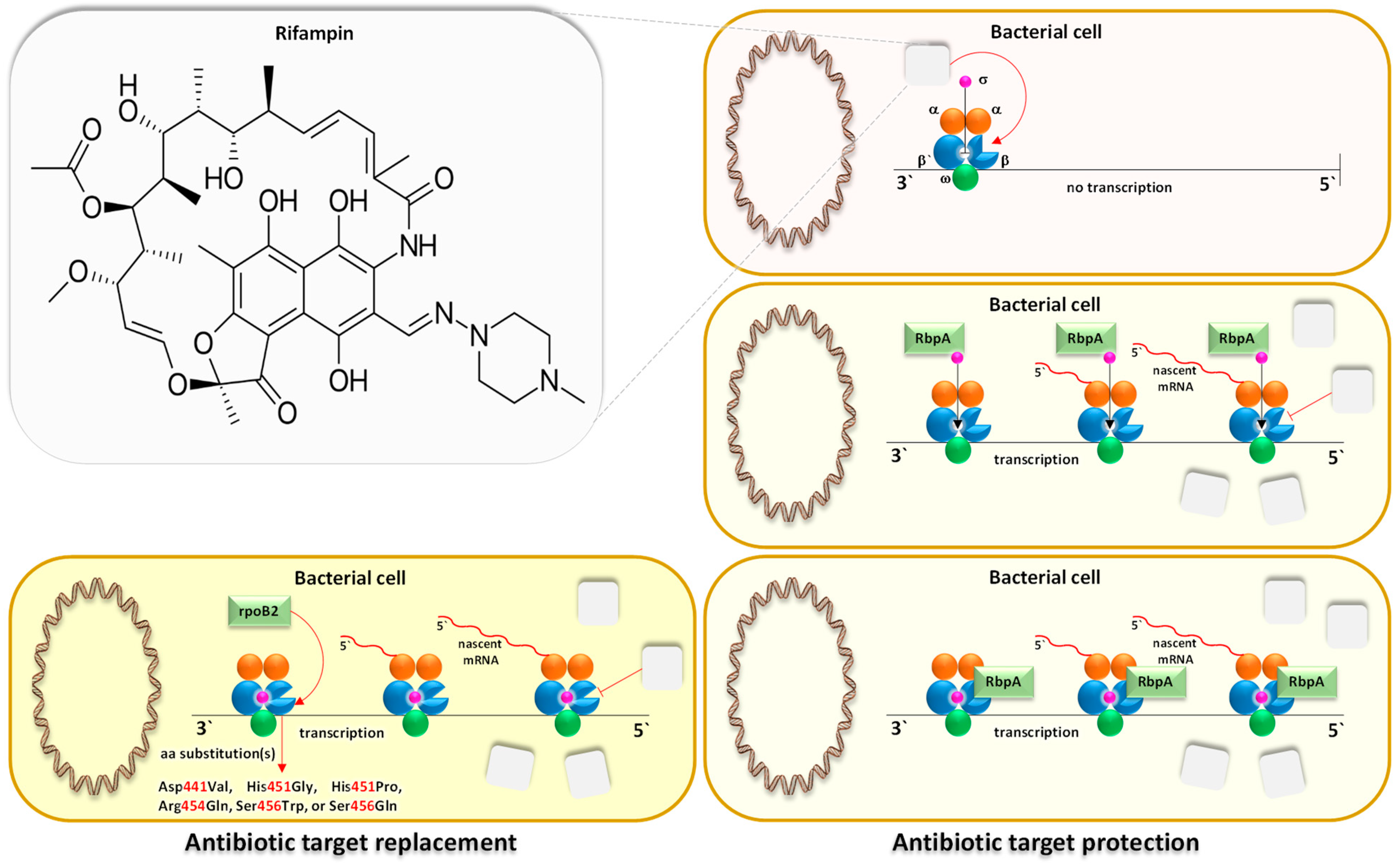 Life 14 00928 g012 Life 14 00928 g012