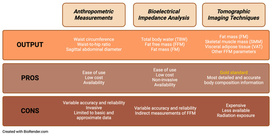 Digital Biometry as an Obesity Diagnosis Tool: A Review of Current 