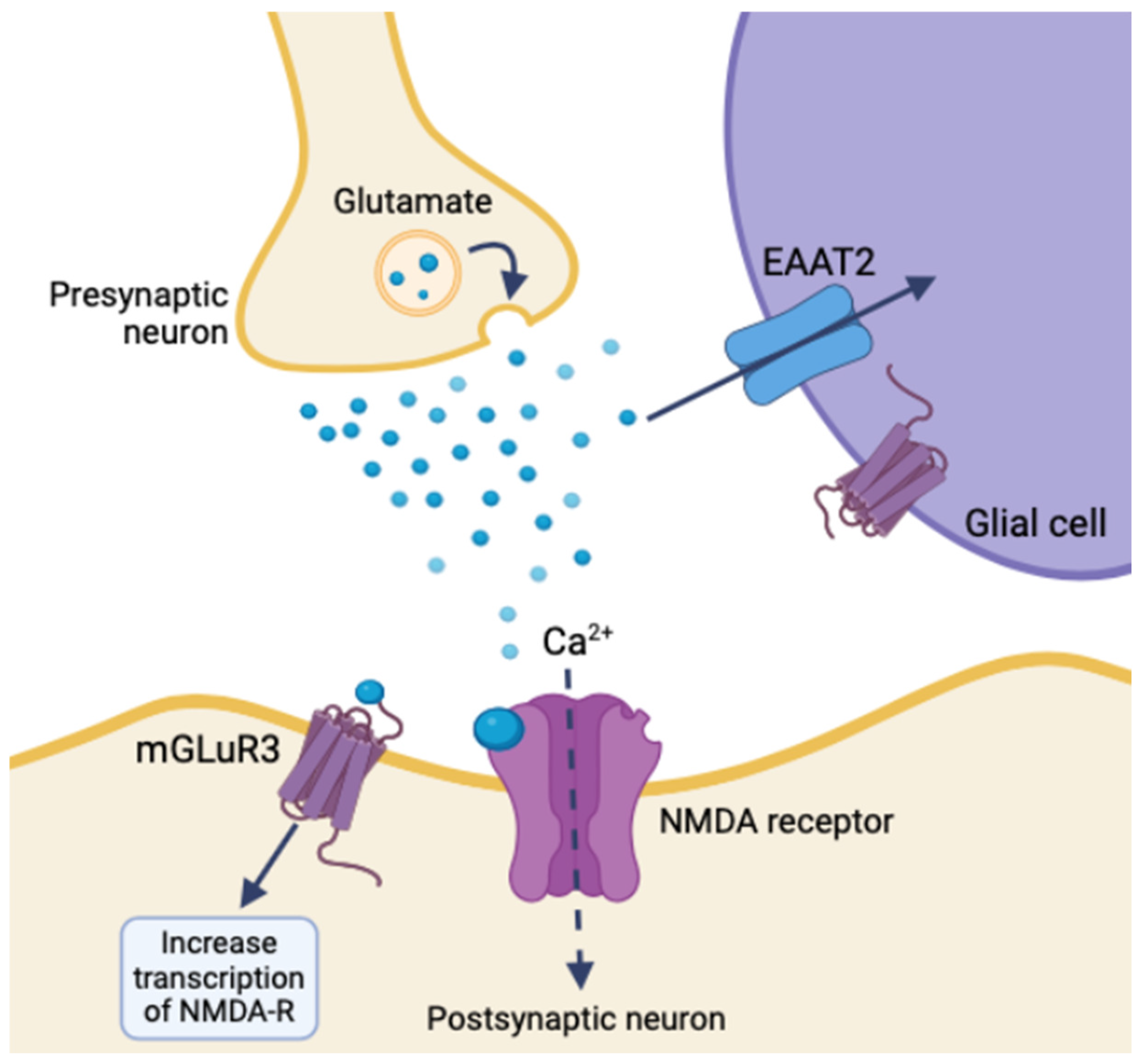 Life Free FullText Neurosteroids in Glioma A Novel Therapeutic