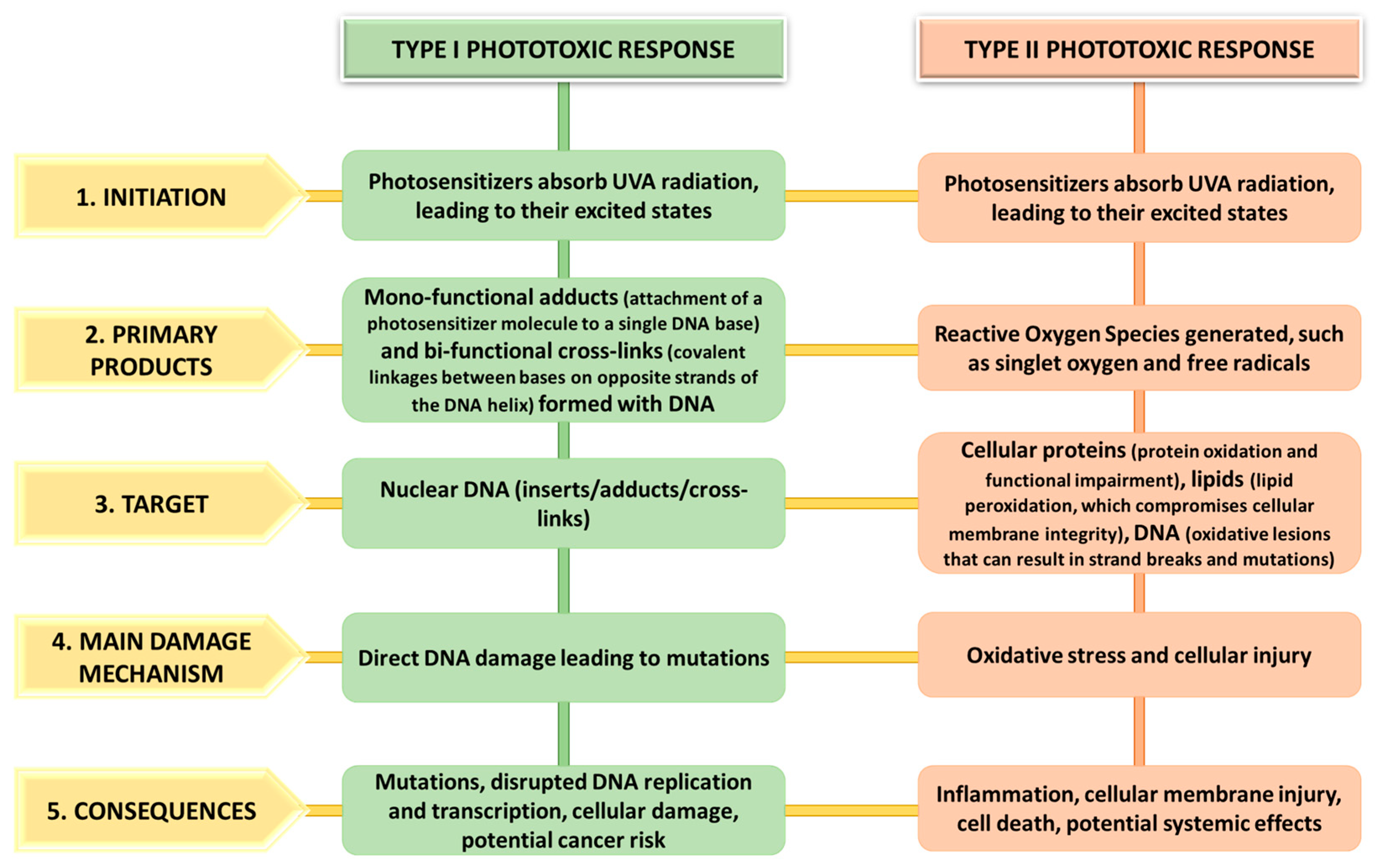Life 14 01019 g001 Life 14 01019 g001