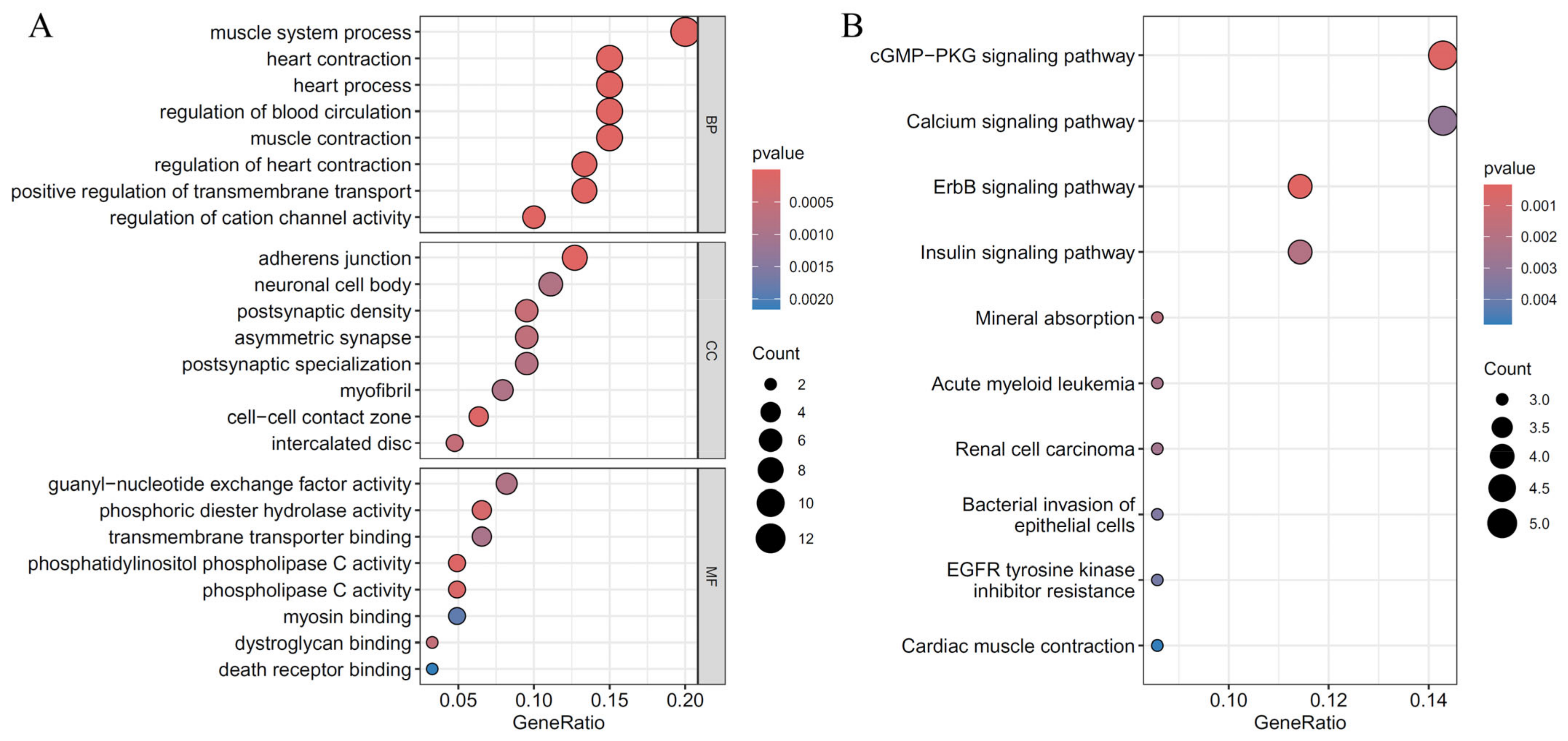 Life 14 01032 g007 Life 14 01032 g007