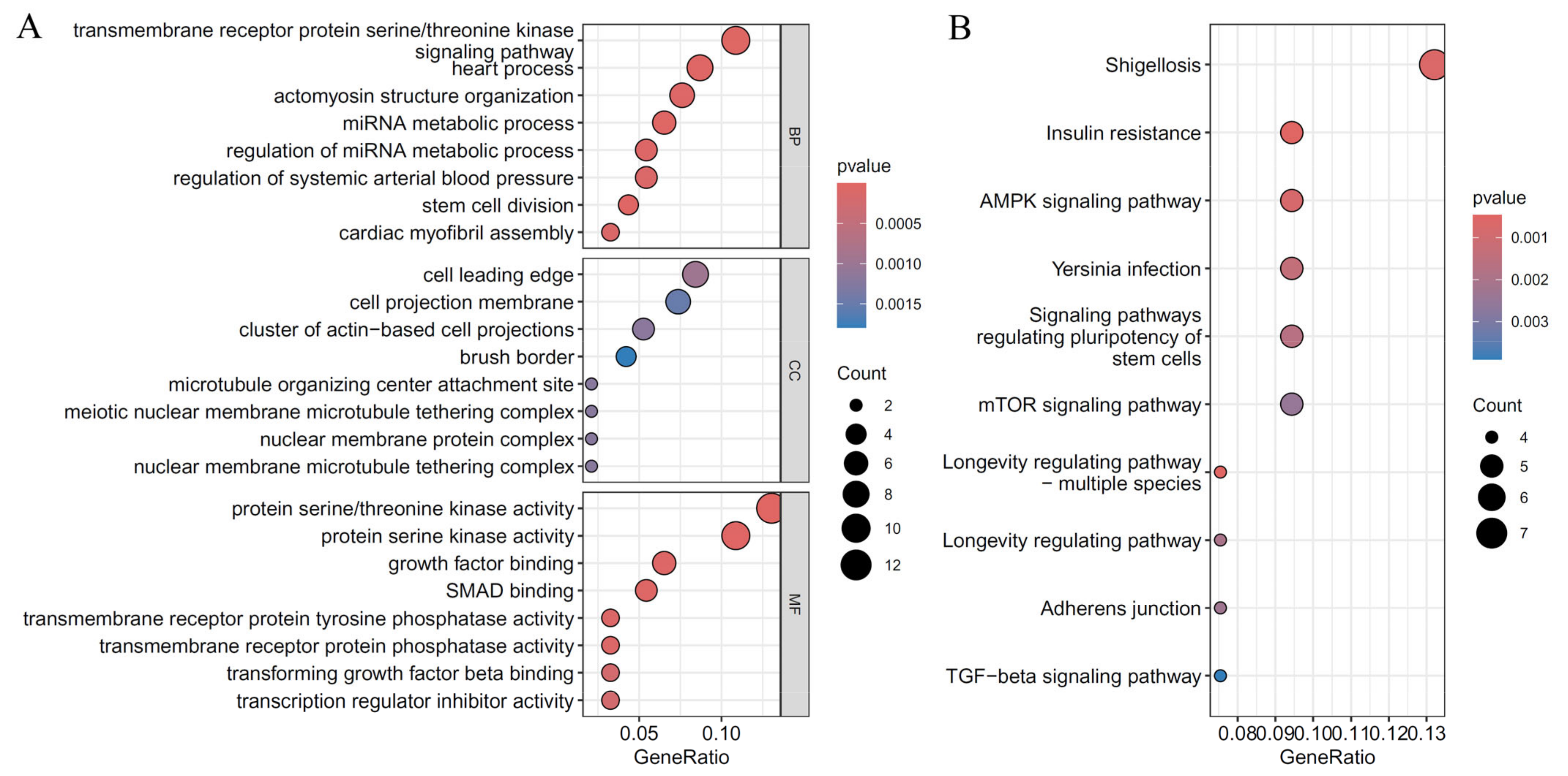 Life 14 01032 g008 Life 14 01032 g008