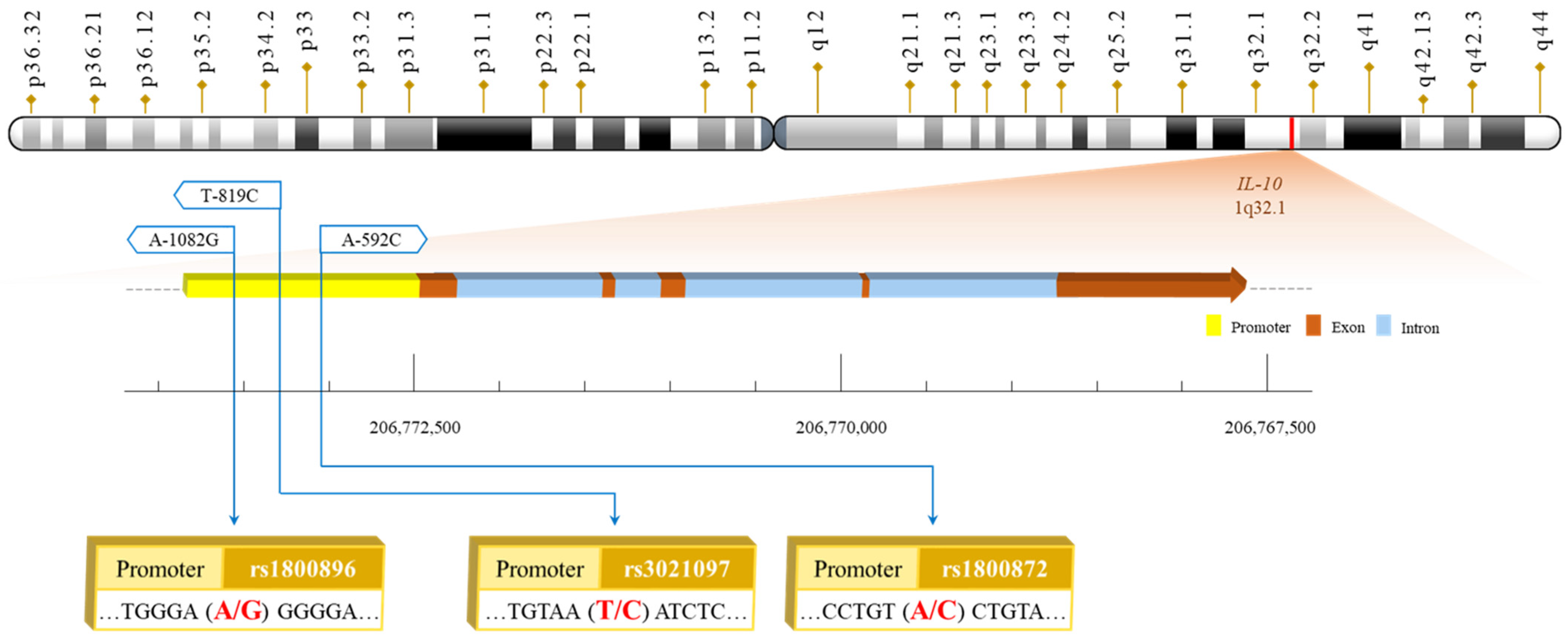 Life 14 01035 g001 Life 14 01035 g001