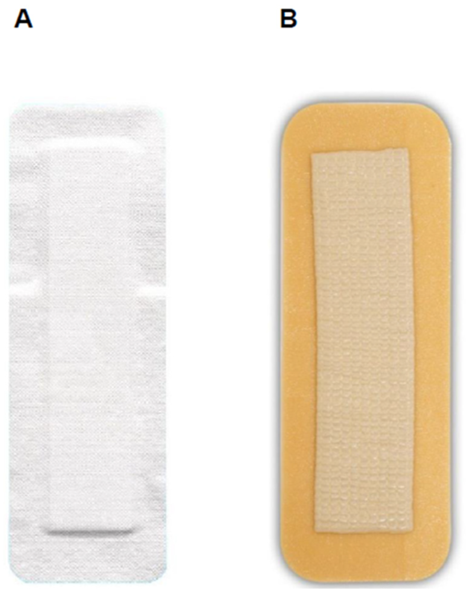 Life 14 01061 g001 Life 14 01061 g001