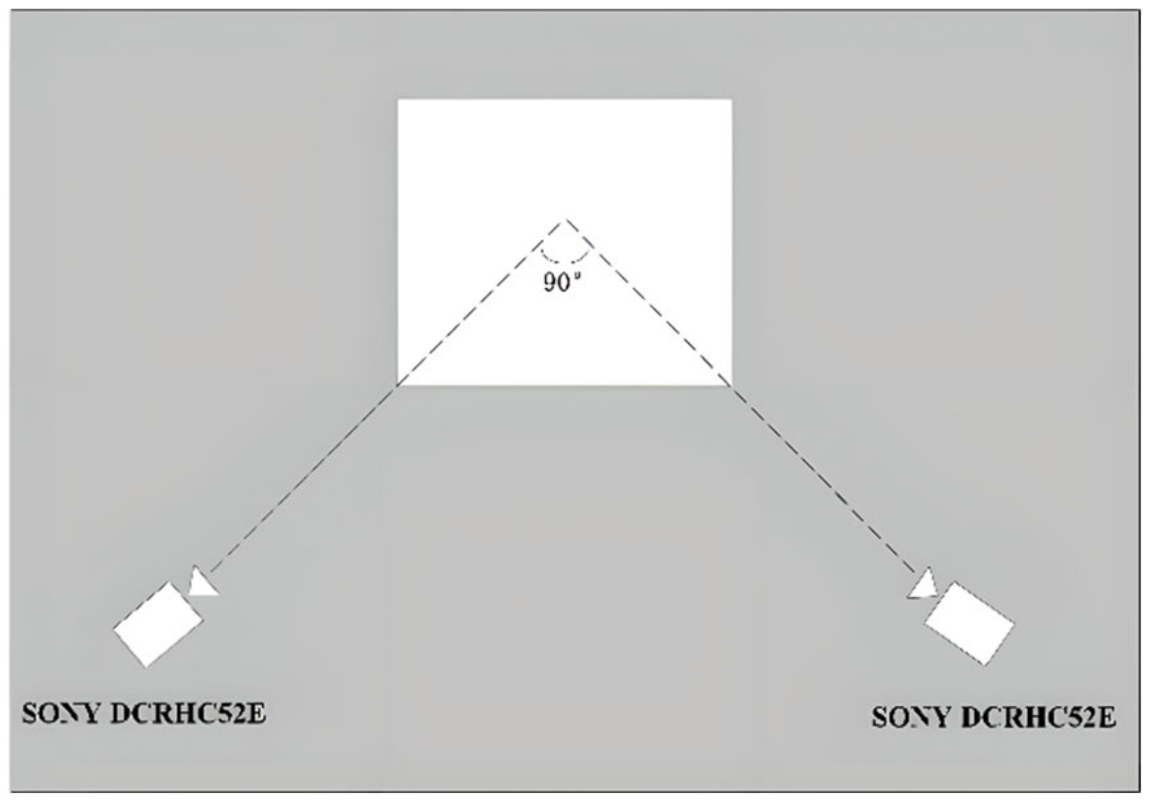 Life 14 01086 g001 Life 14 01086 g001