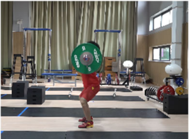 Life 14 01086 i003 Life 14 01086 i003