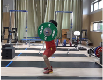 Life 14 01086 i006 Life 14 01086 i006