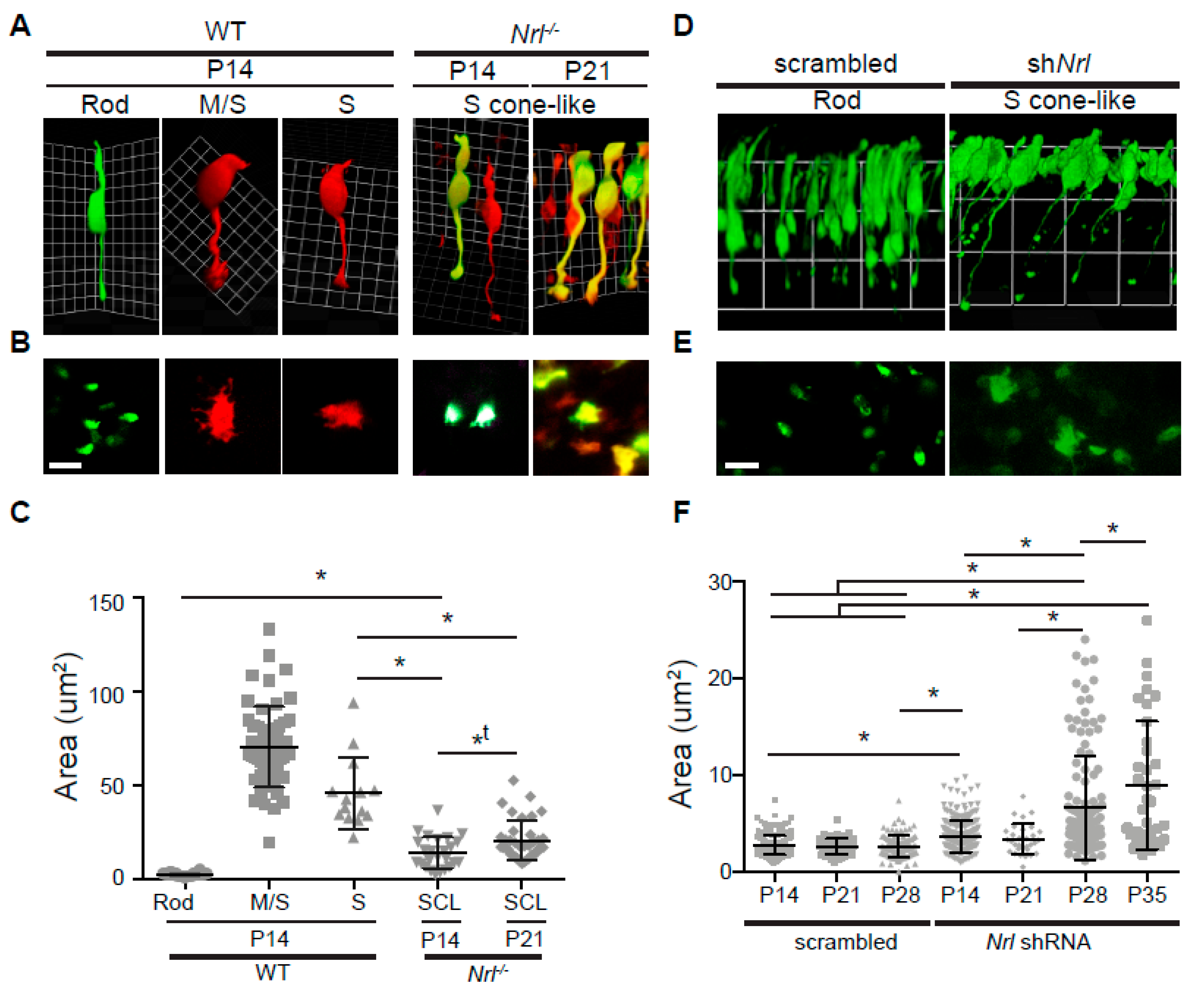 Life 14 01103 g004 Life 14 01103 g004