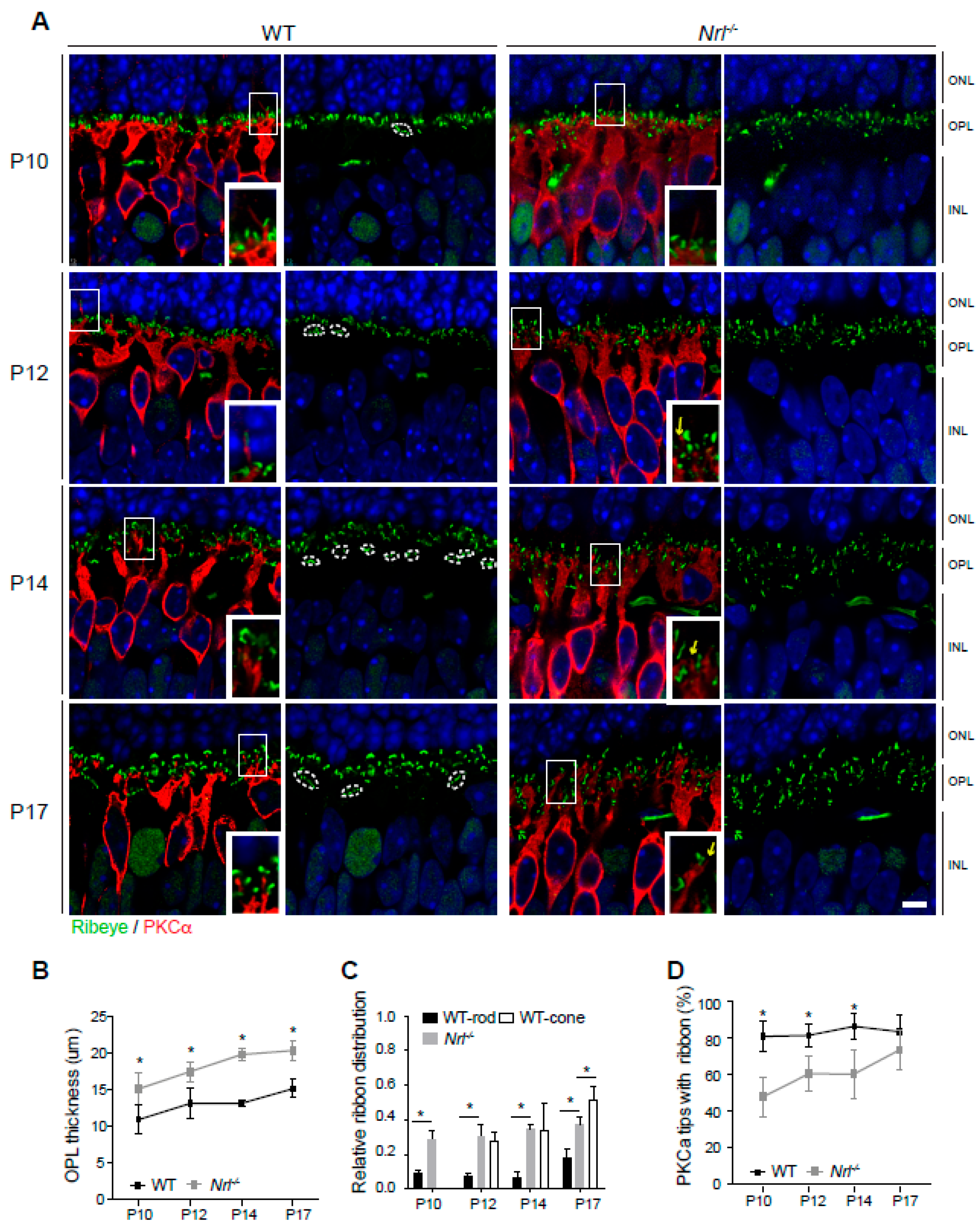 Life 14 01103 g005 Life 14 01103 g005