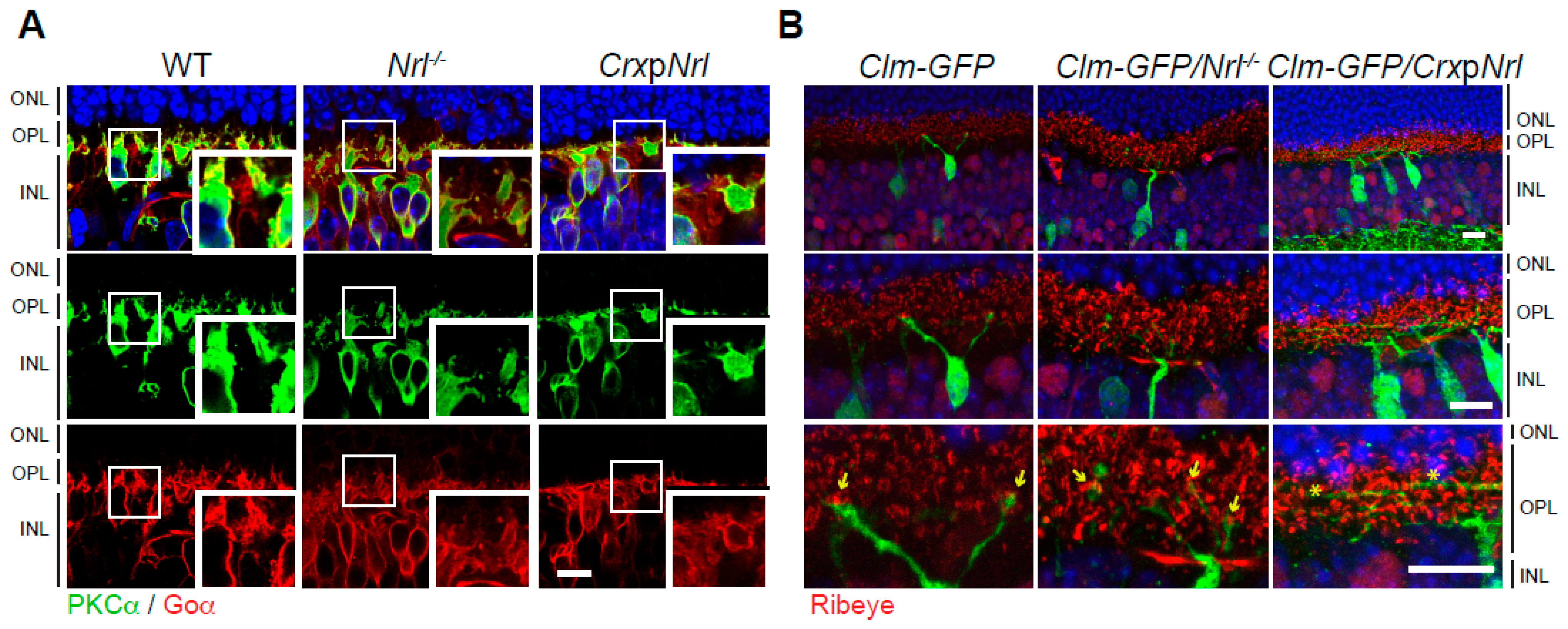 Life 14 01103 g006 Life 14 01103 g006