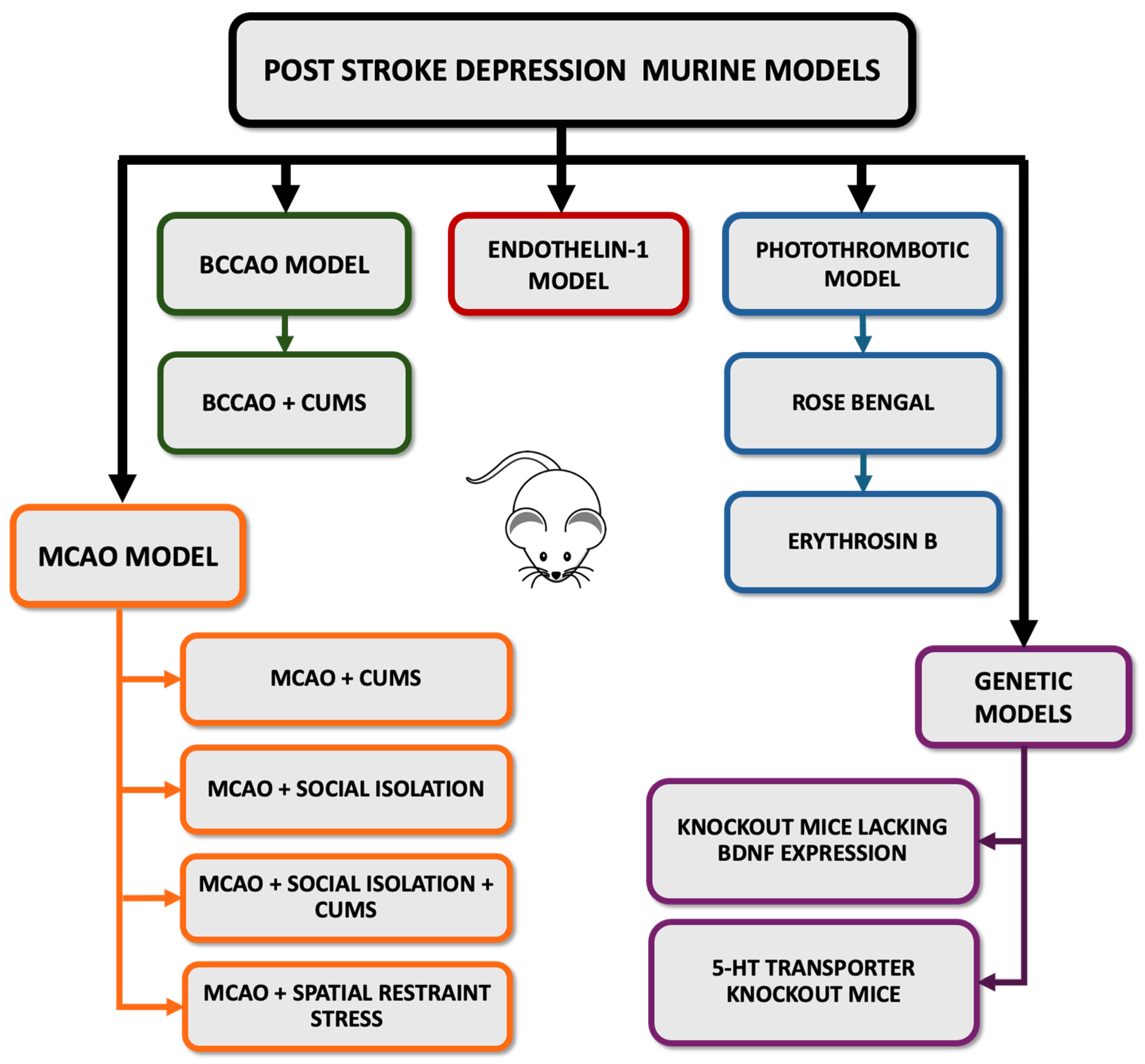 Advancing Post-Stroke Depression Research: Insights from
